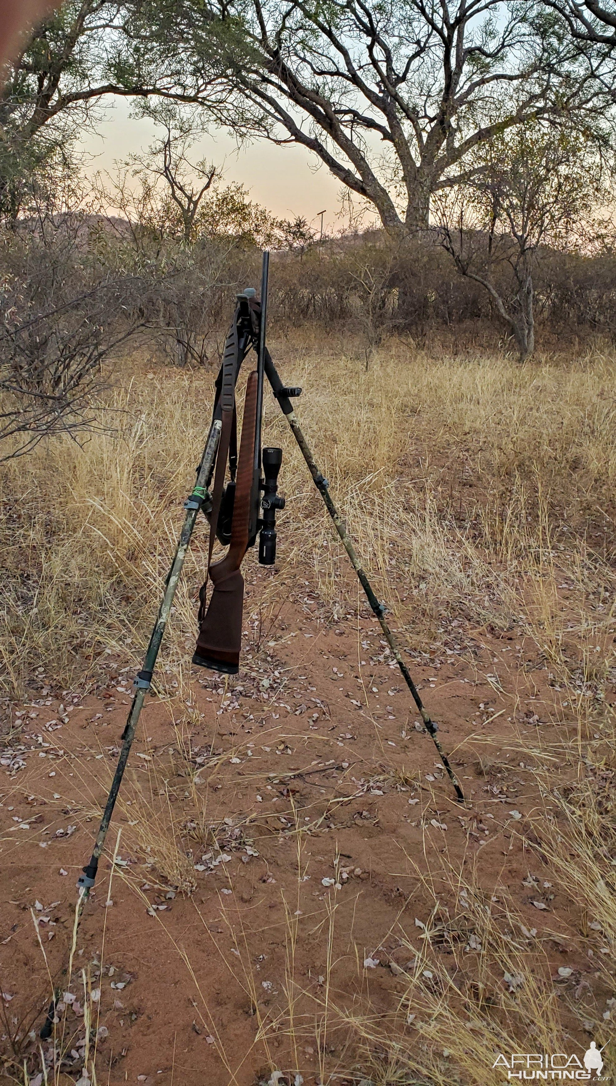 30-06 Hunting Rifle