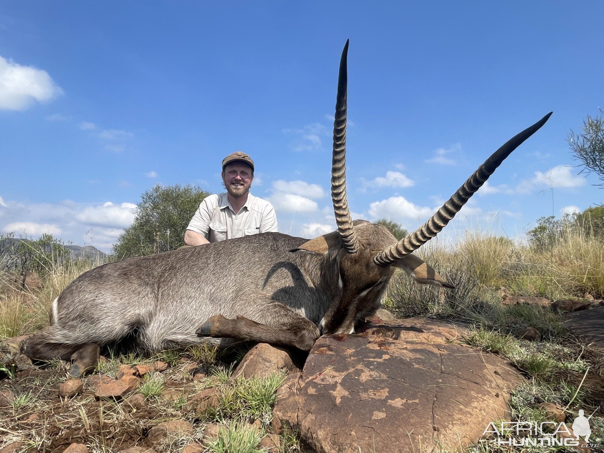 31 Inch Waterbuck Hunt South Africa