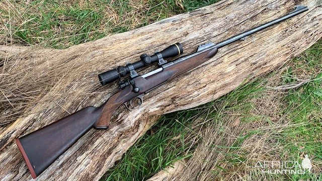 318 Westley Richards Rifle