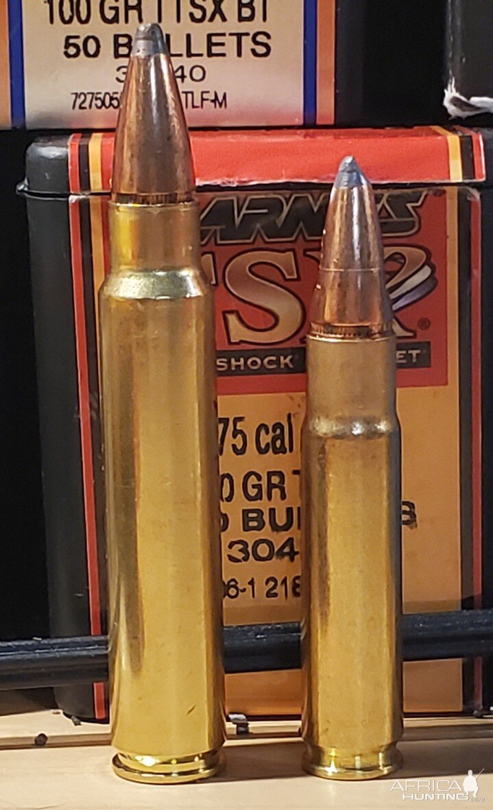 New Based Cartridge The 375 RAPTOR -The Firearm Blog