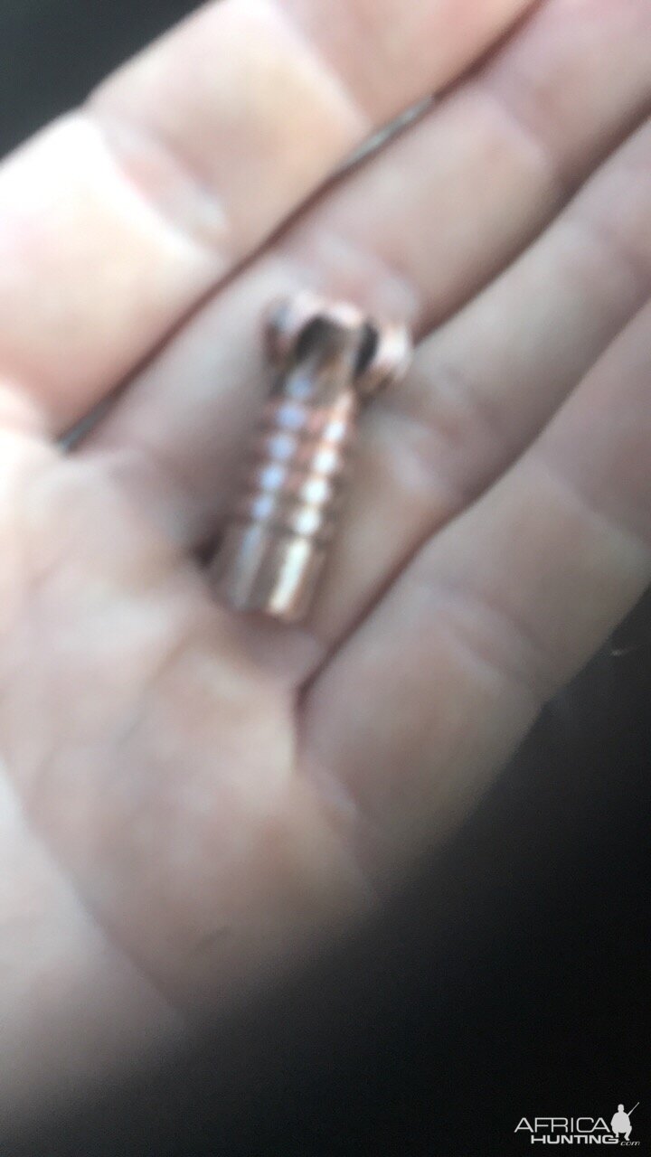 .375 Bullet Performance