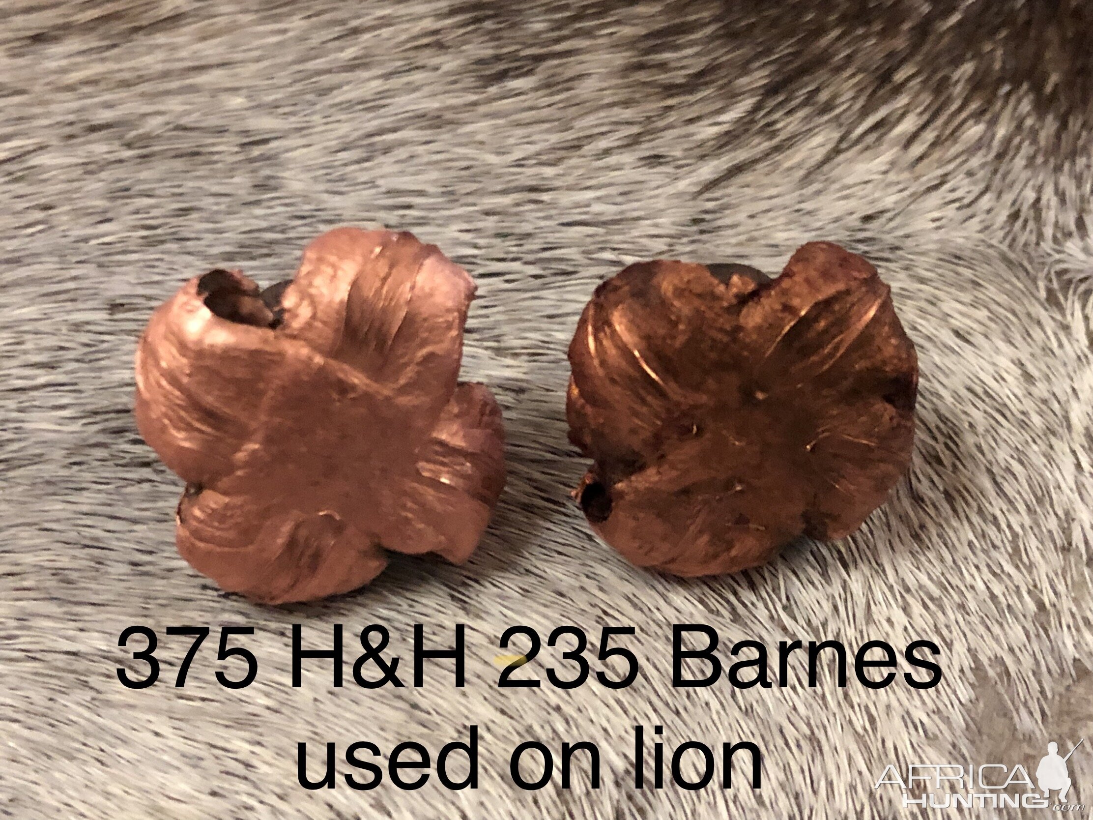 375 H&H 235 Barnes TSX Bullet Performance