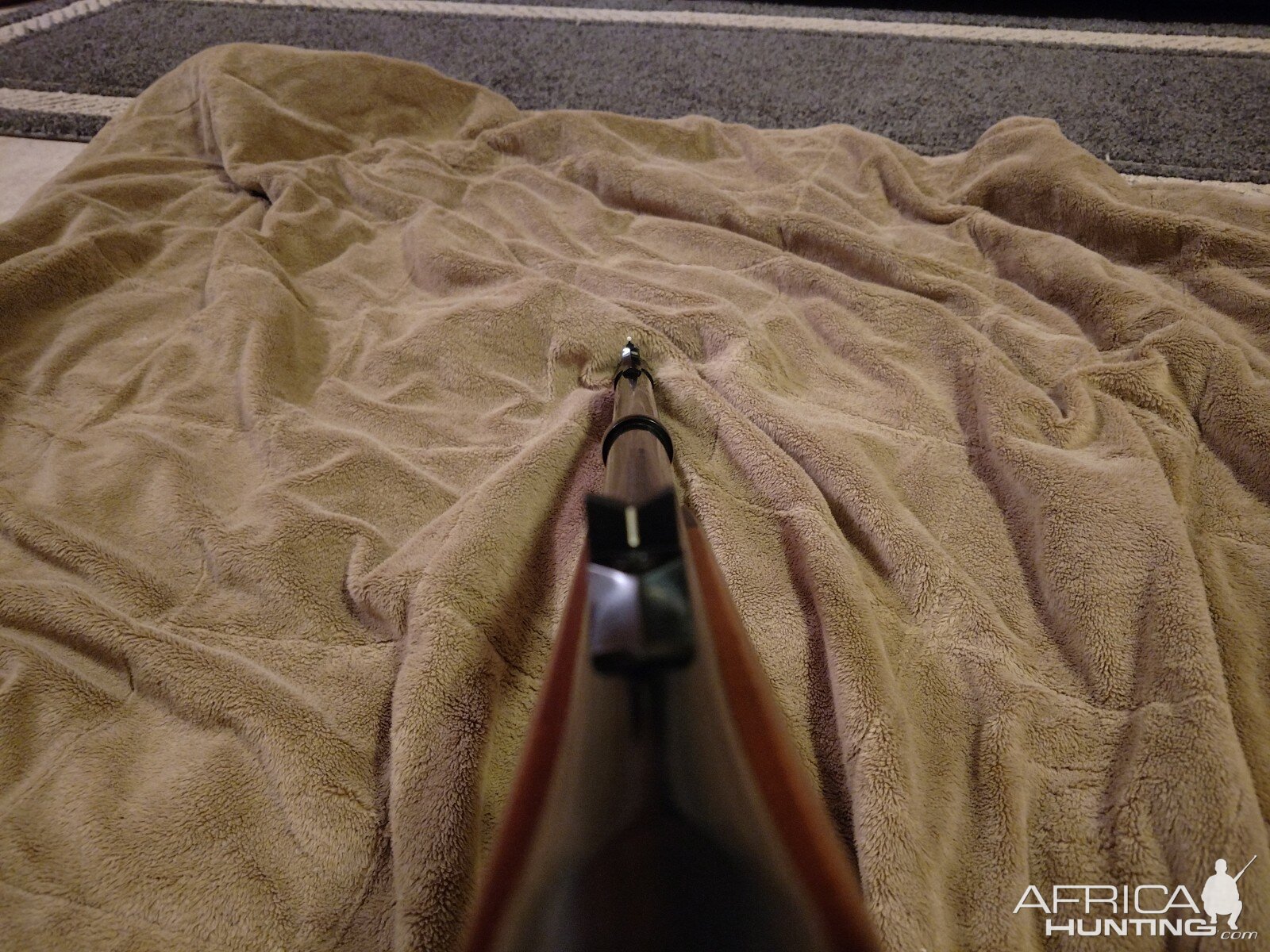 375 Ruger African 3