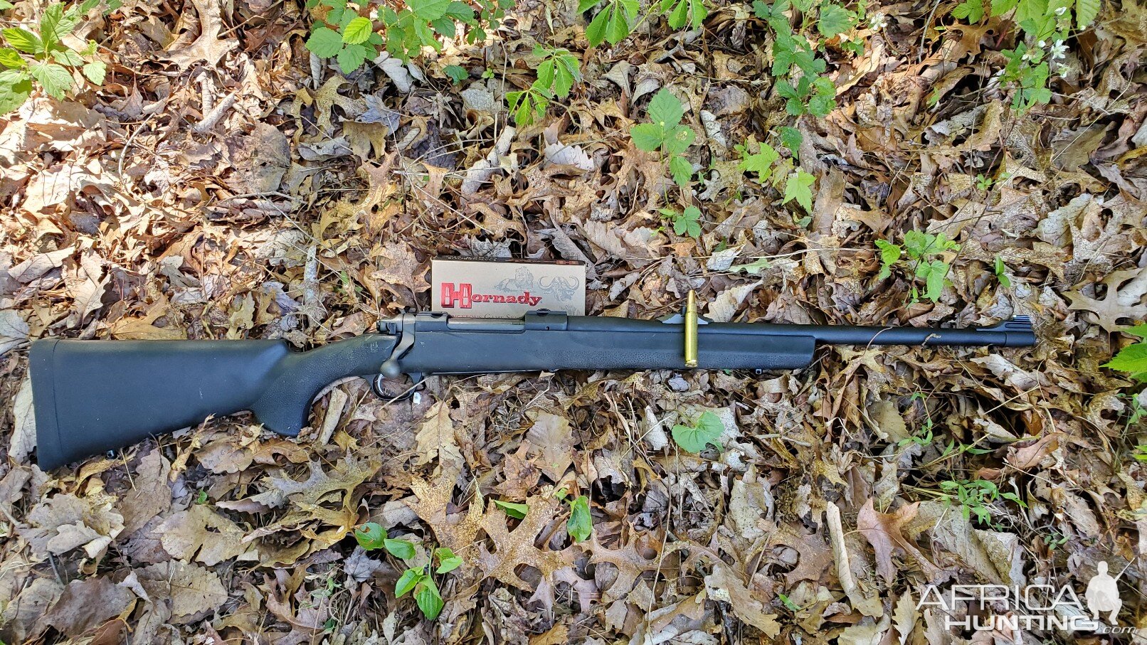 .375 Ruger Rifle | AfricaHunting.com