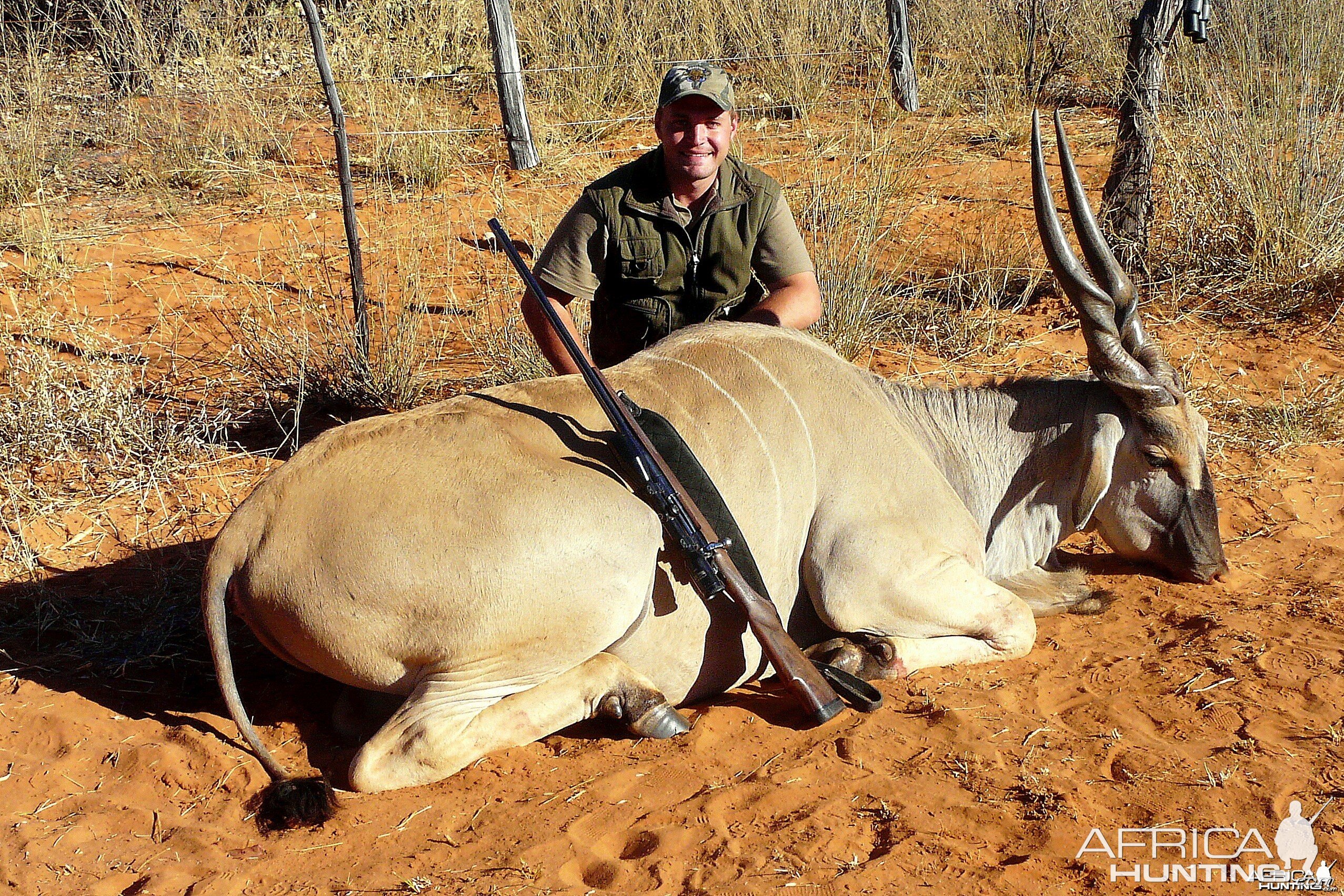 39"Livingstone Eland taken near Grootfontein,Namibia