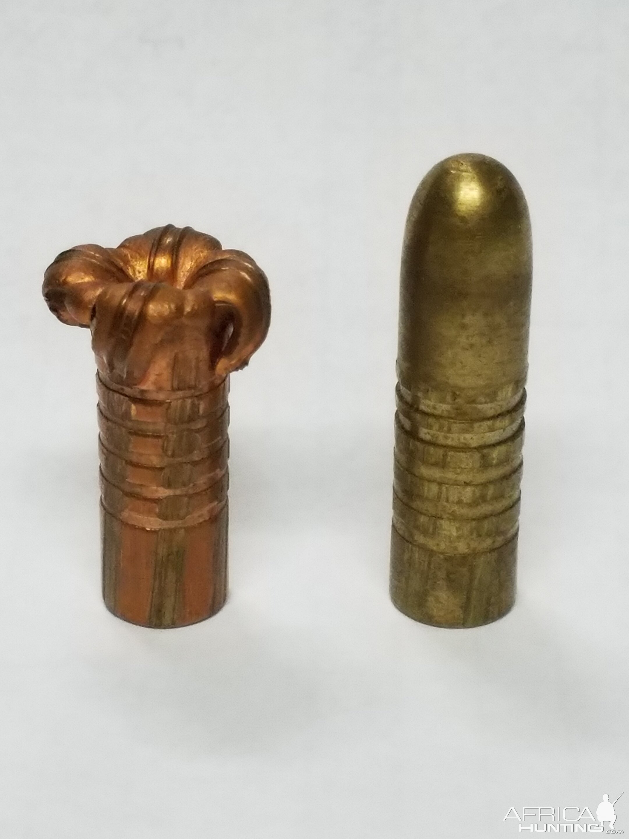 400 Gr Barnes TSX And Banded Solid Bullet Performance | AfricaHunting.com