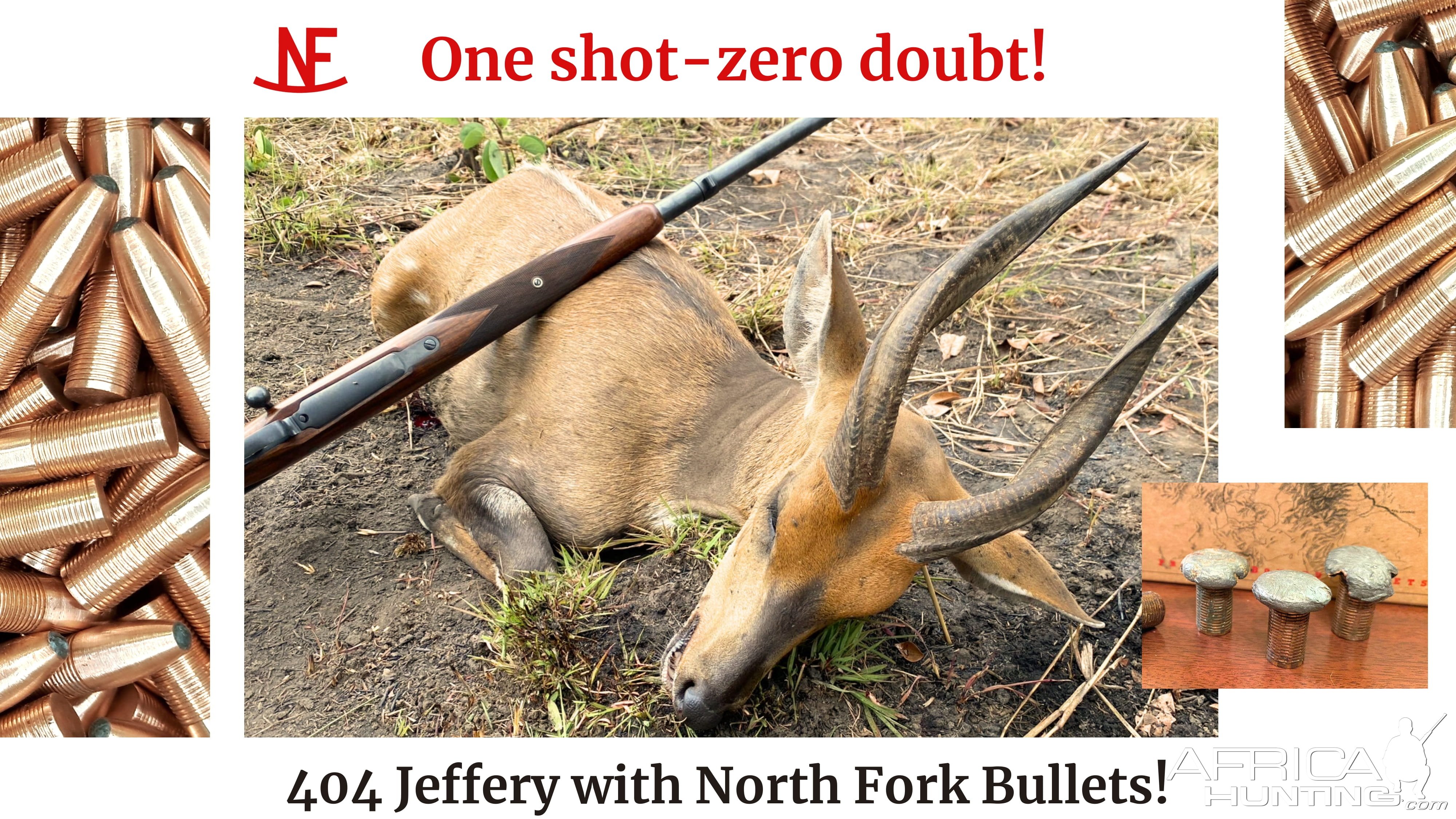 404 Jeffery Custom Rifle North Fork Bullet Reloading Bullets Hunting Hunt Rifle Blaser Saco