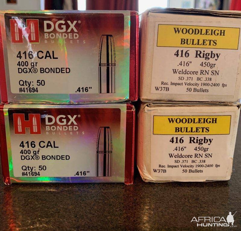 .416 cal Hornady DGX bonded & .416 cal Woodleigh RNSN