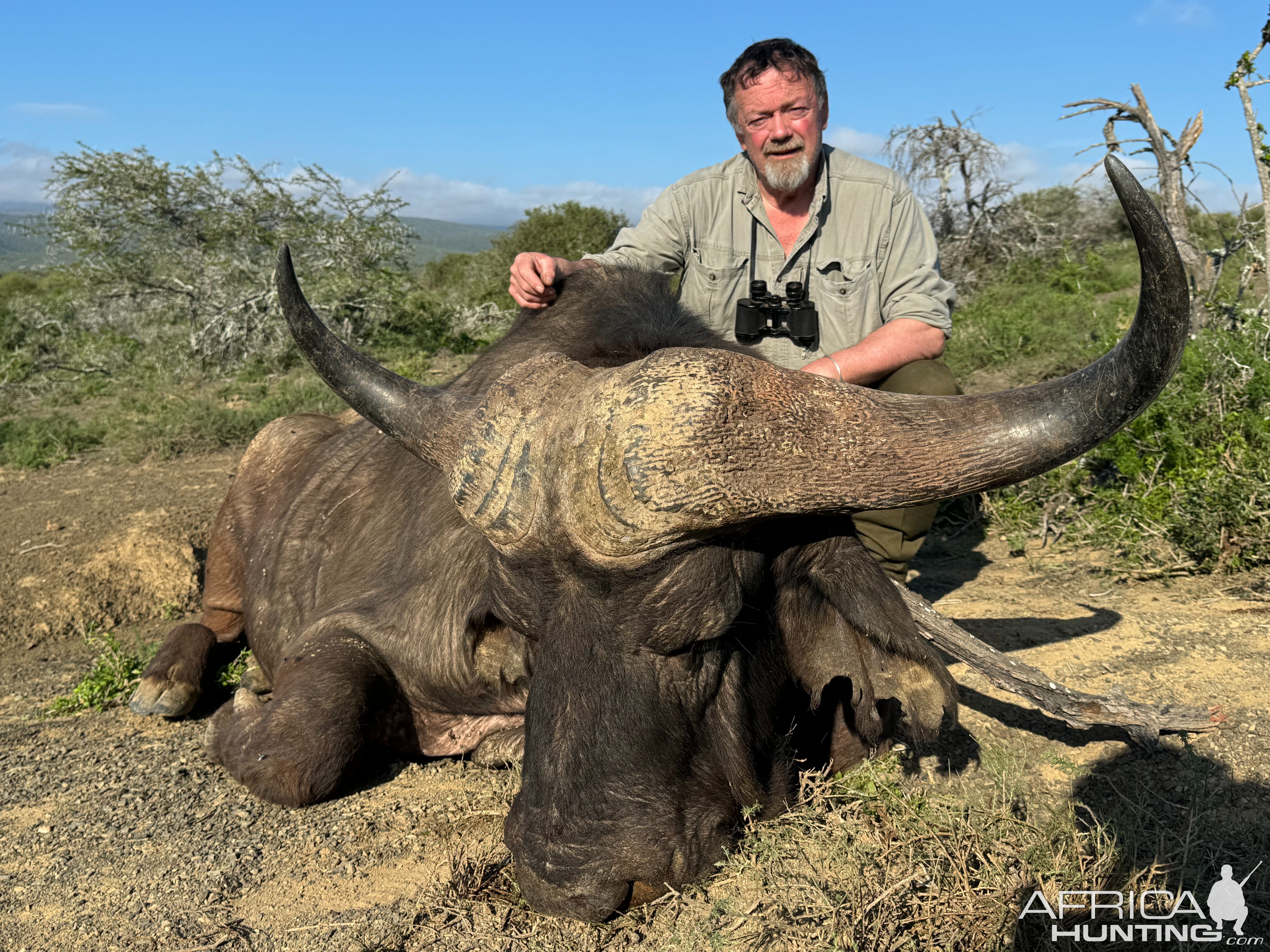 42 Inch Buffalo Hunt South Africa