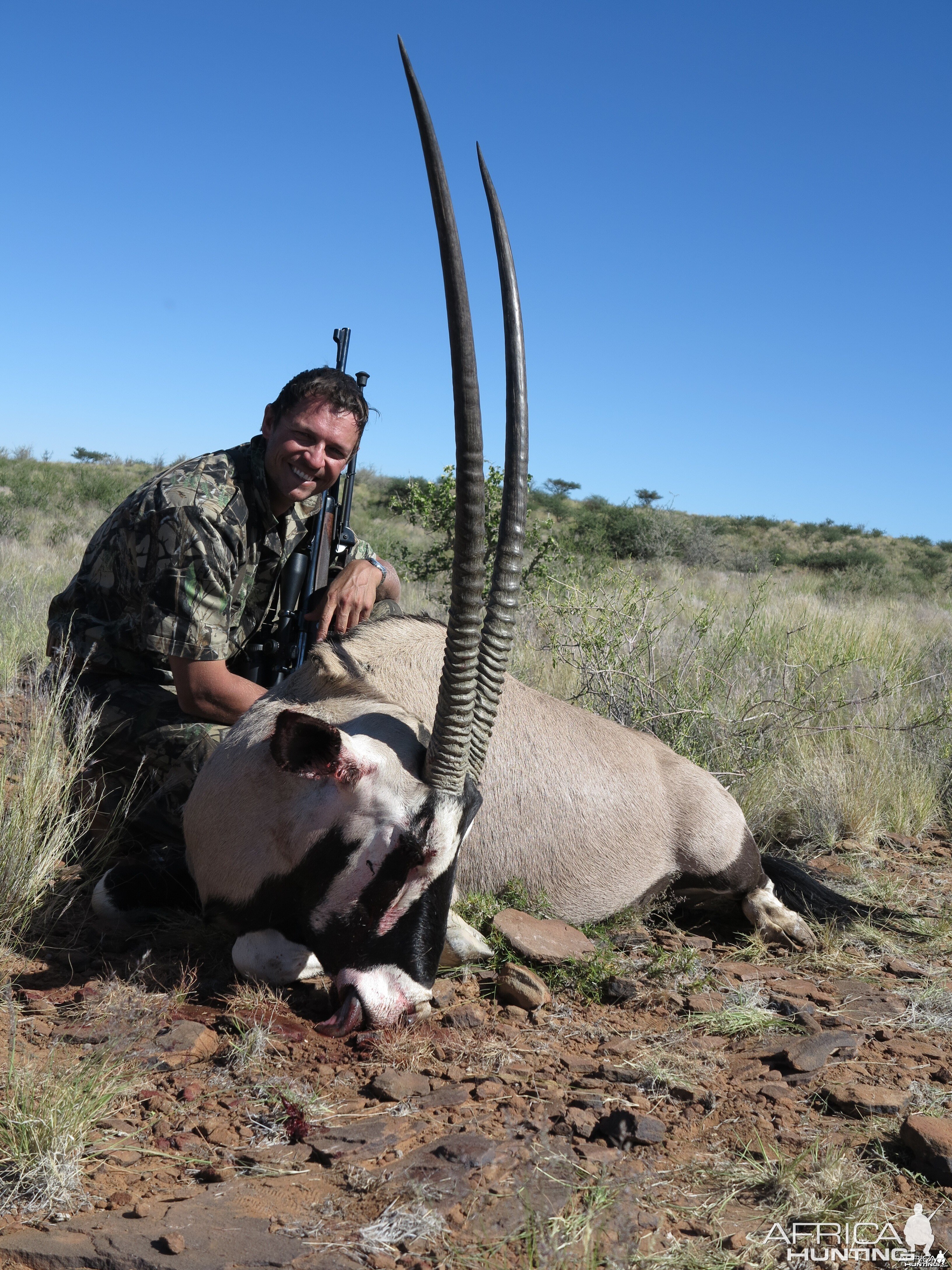 42" Oryx Bull