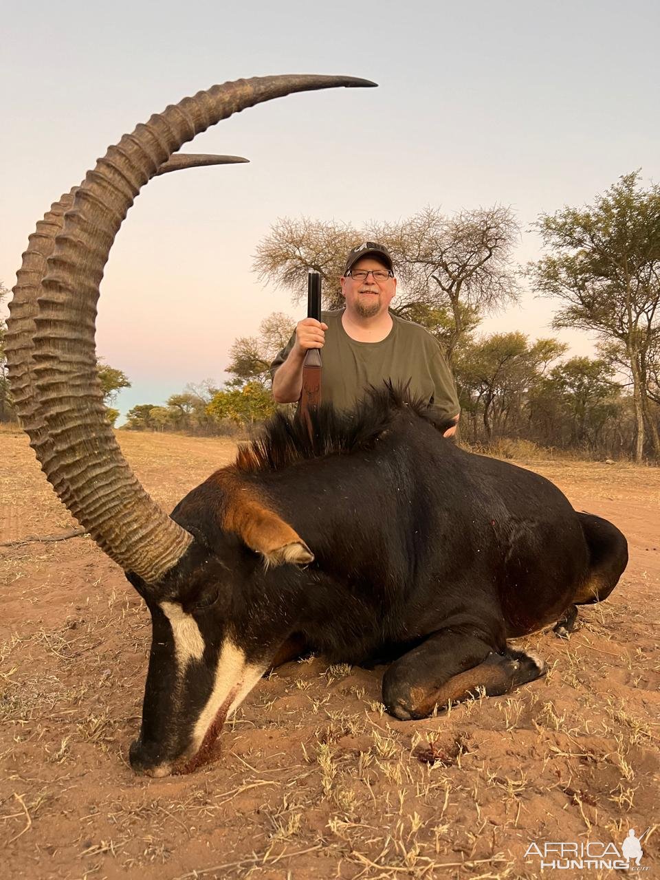 43 Inch Sable Hunt Limpopo South Africa