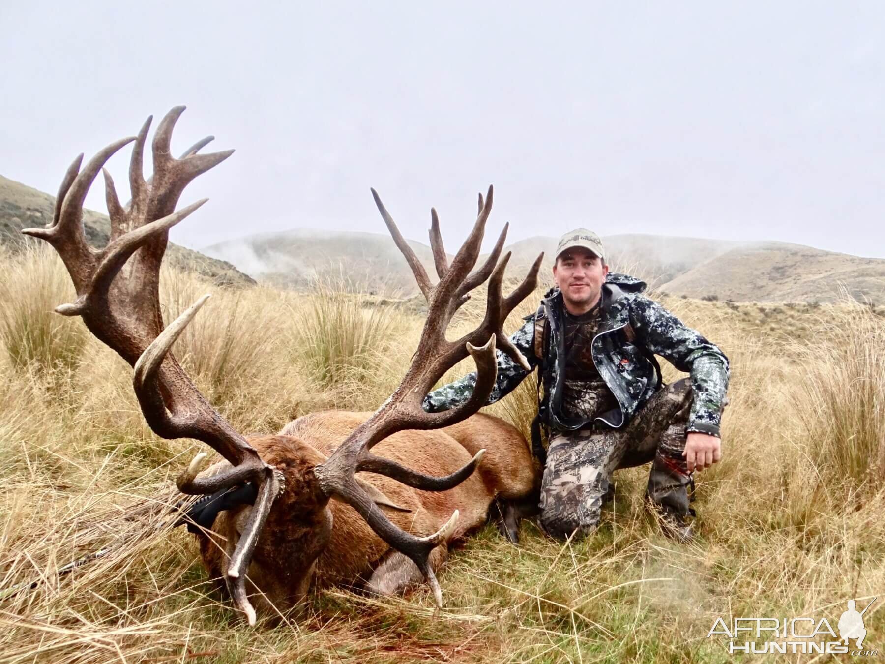 438" Inch Red Stag Hunt New Zealand