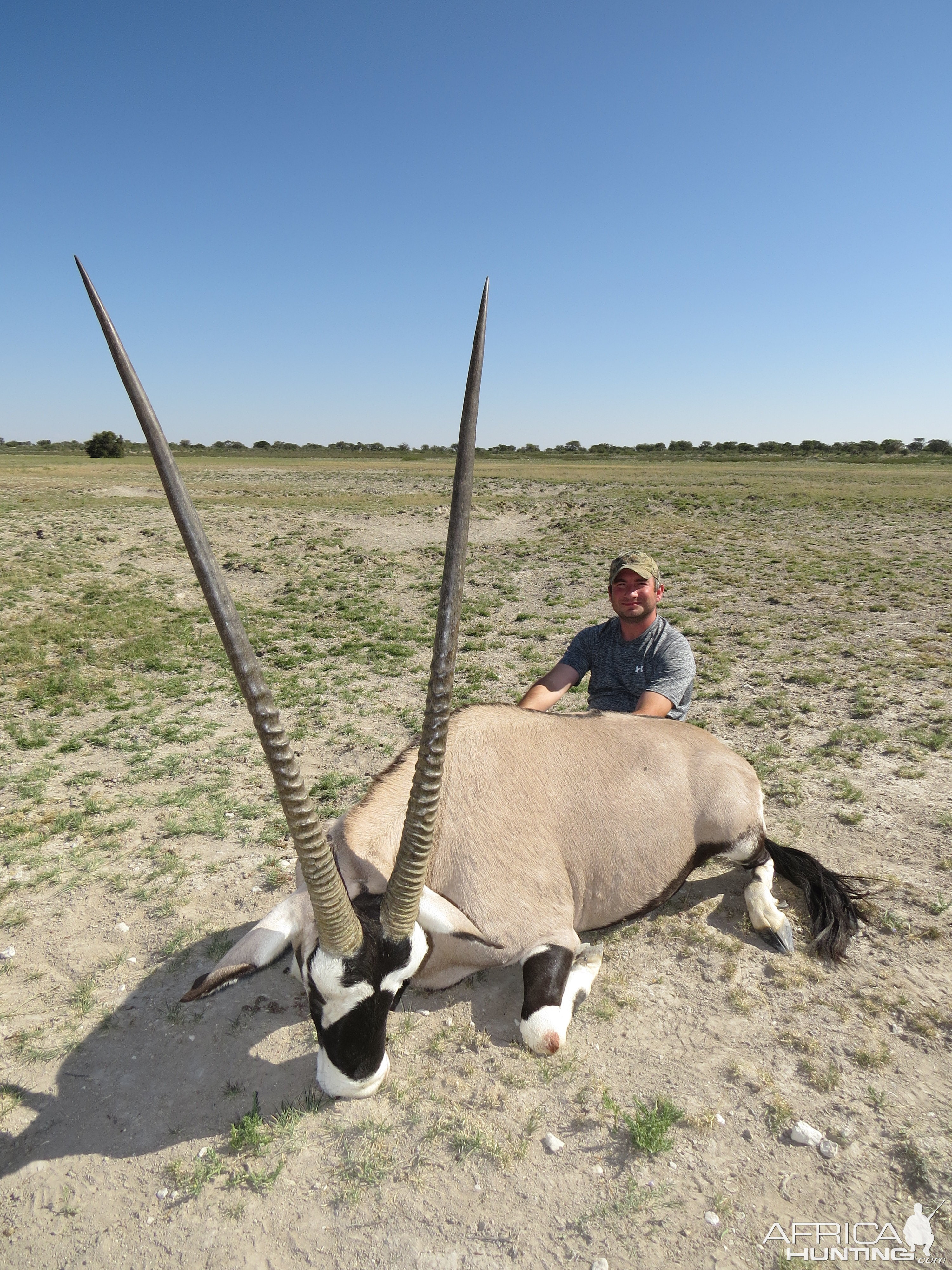 44" Gemsbok Bull Hunted