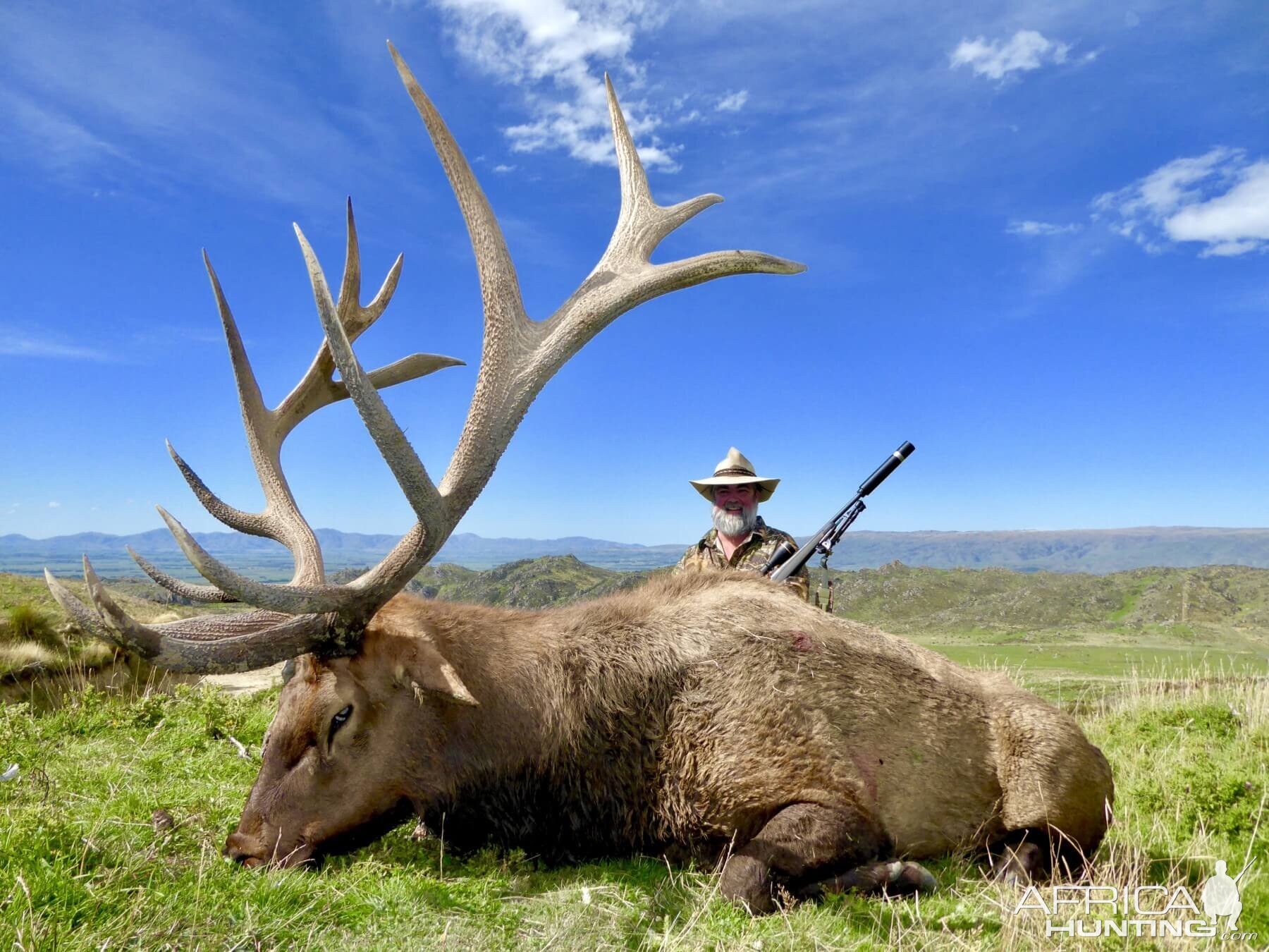 448" Inch Elk Hunting New Zealand