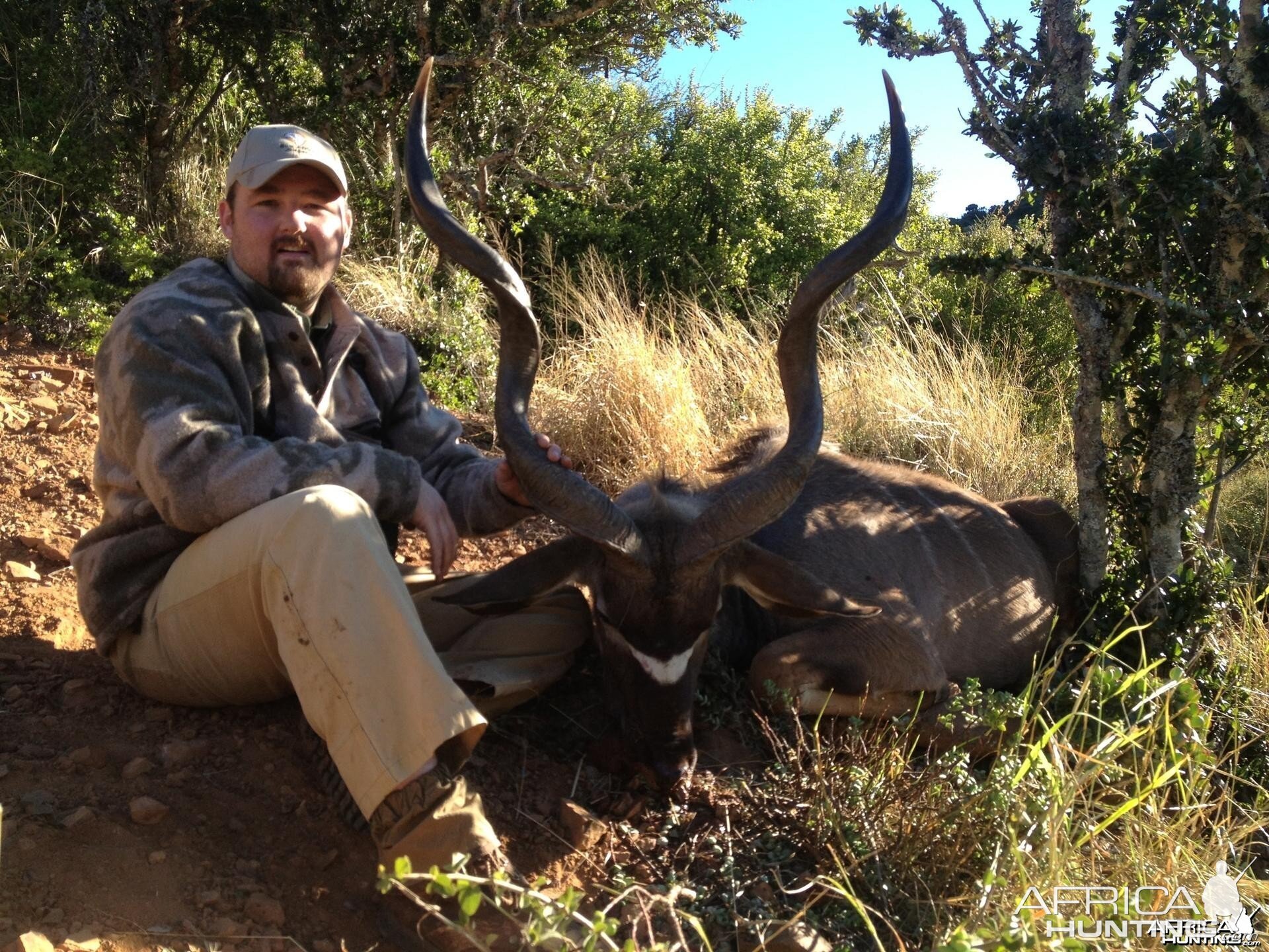 45 inch Kudu