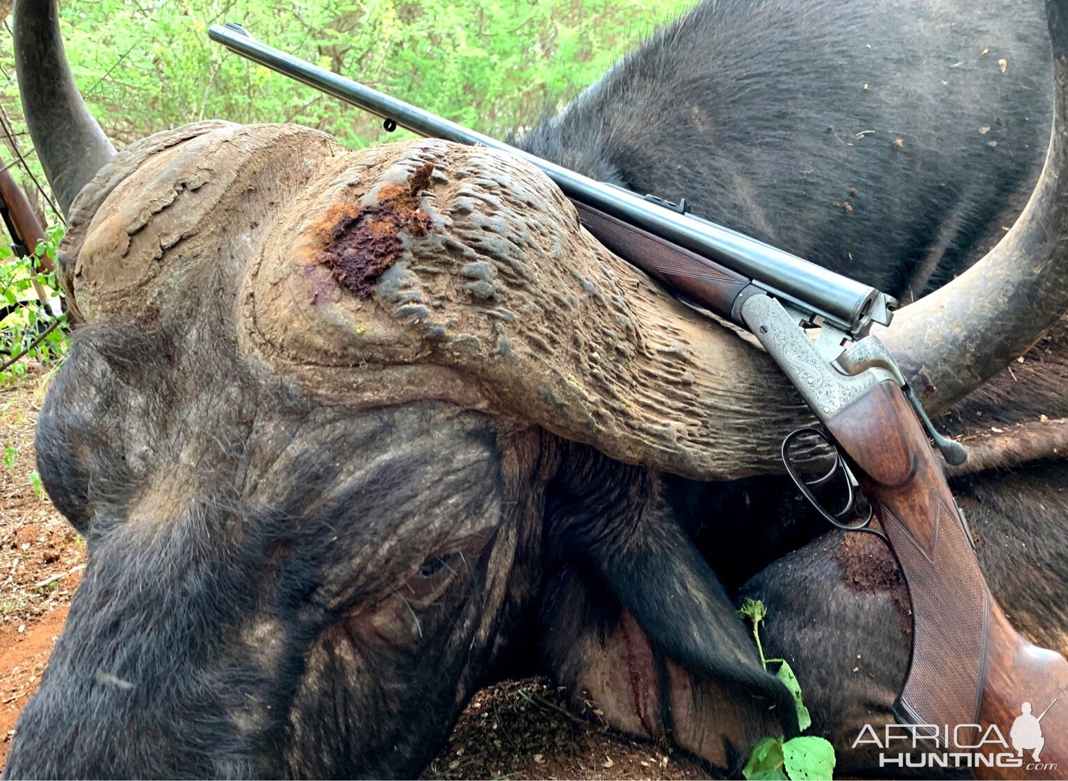 .450-400 3&1/4” Gibbs with Buffalo