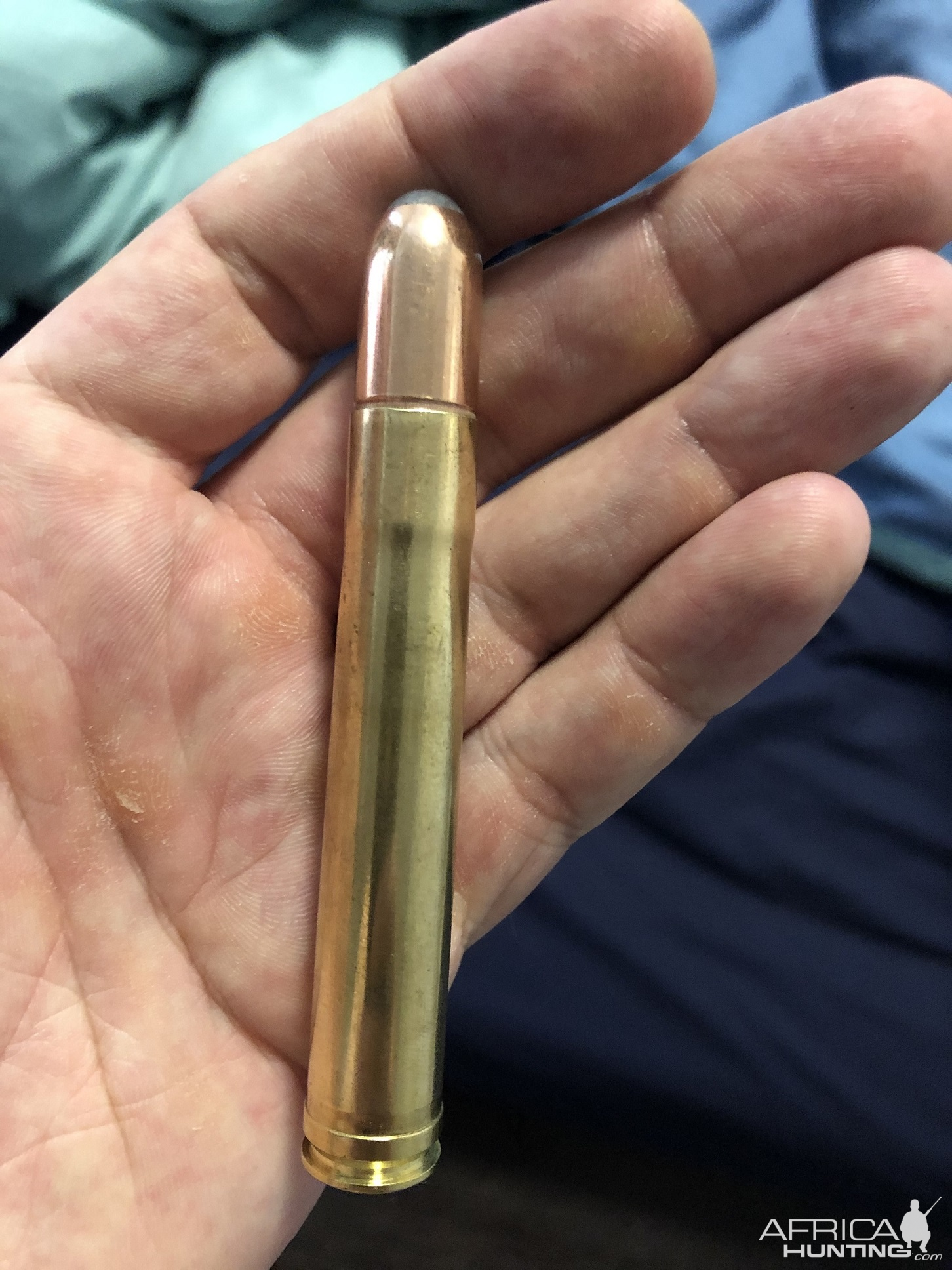 458 Lott Ammo