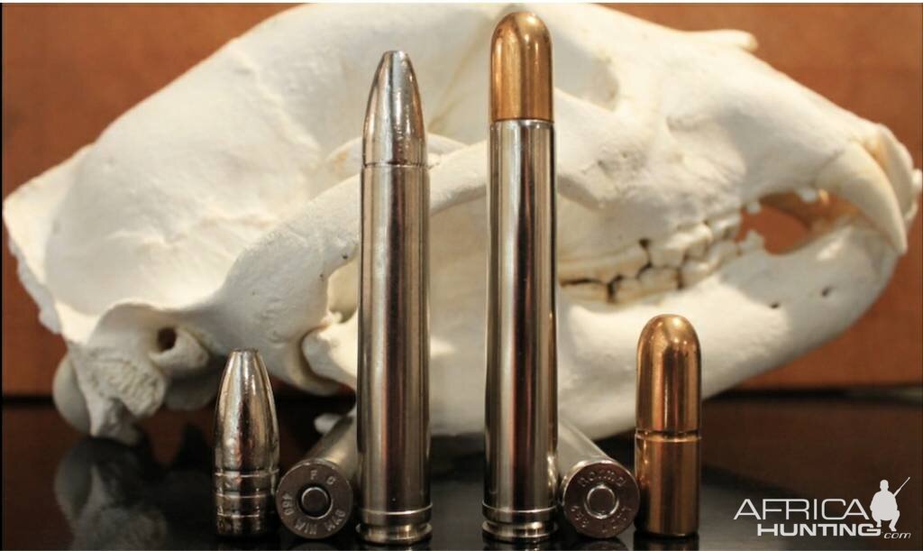 .458WM Factory 300-450gr Ammunition