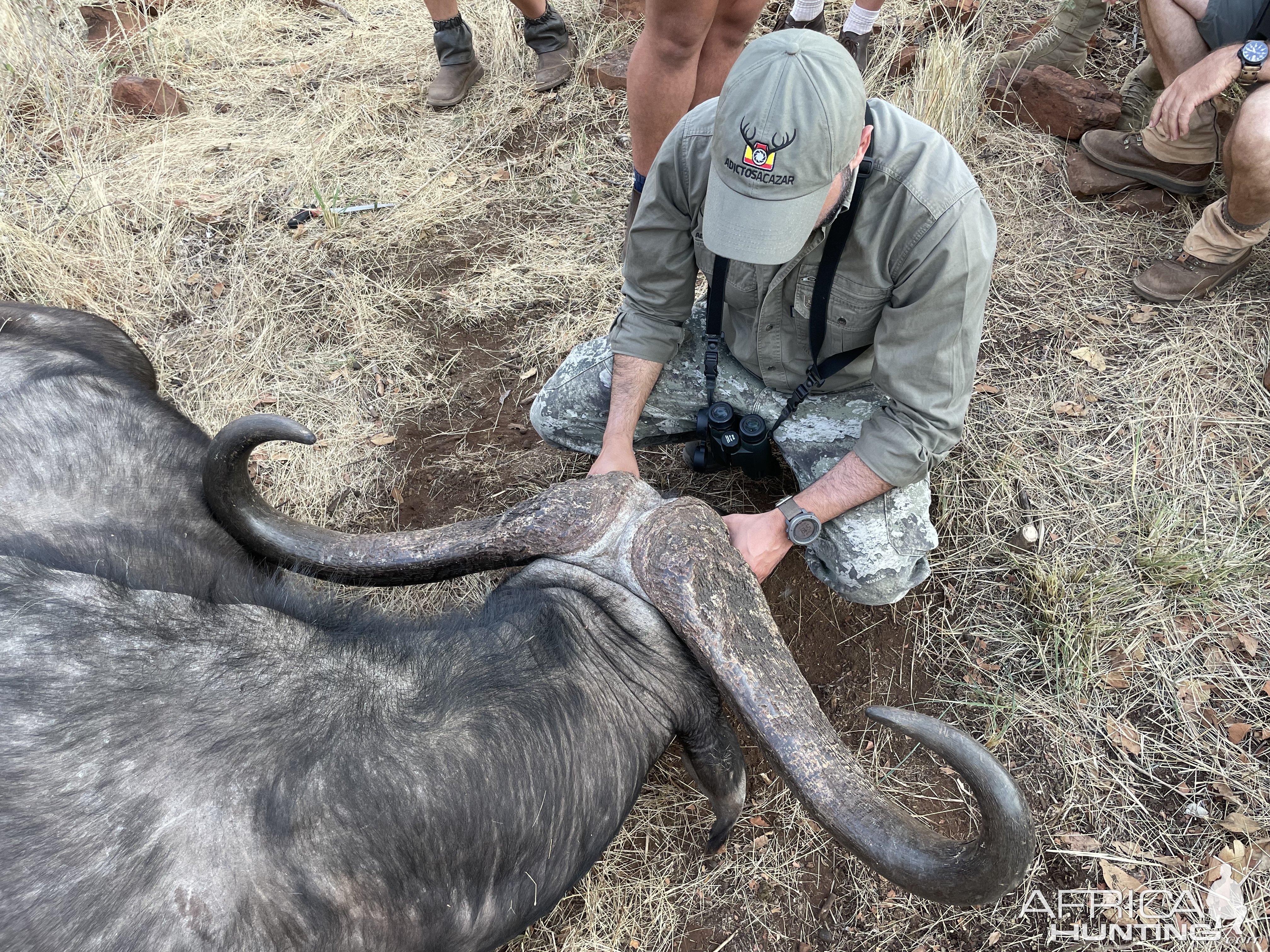 47 inches Buffalo