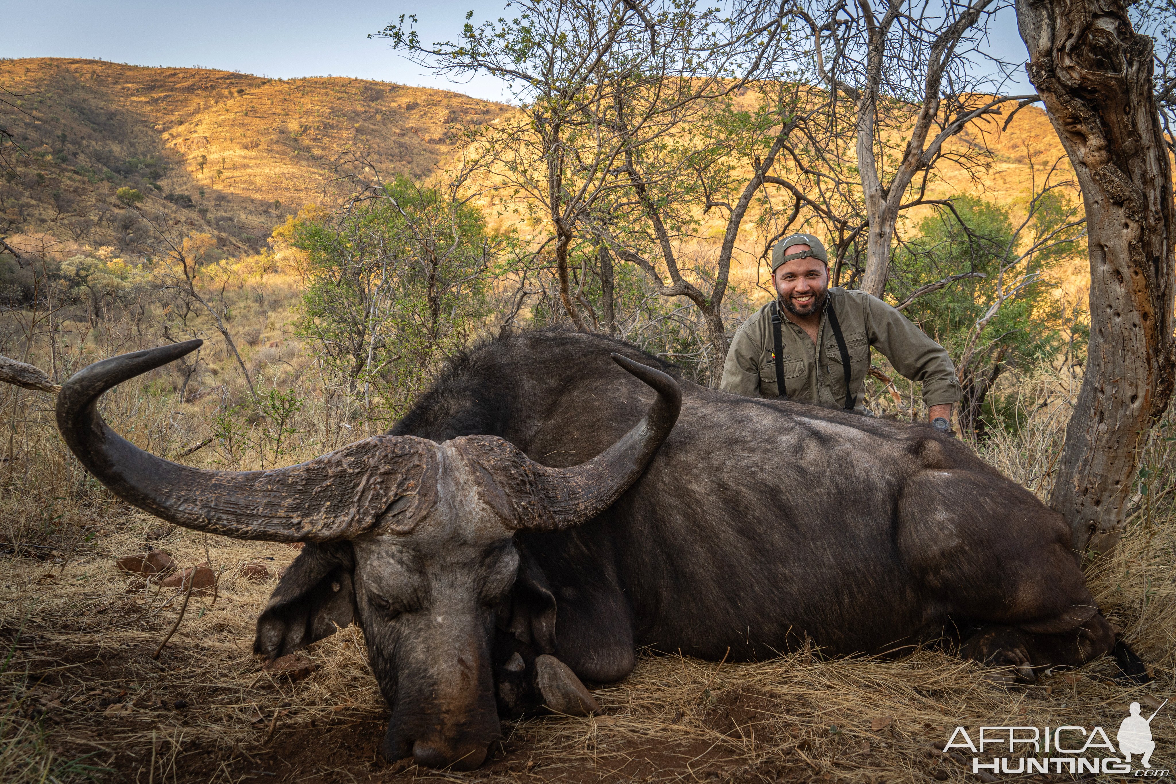 47 inches Buffalo