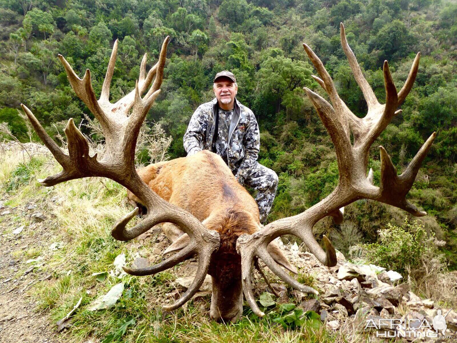 483" Inch Red Stag Hunting New Zealand