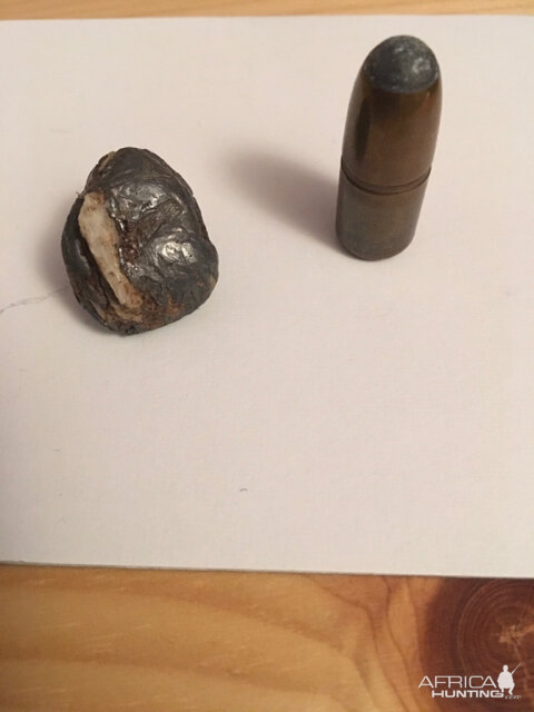 500 Gr Bullet performance