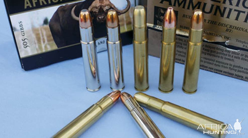 .505 Gibbs Ammunition | AfricaHunting.com