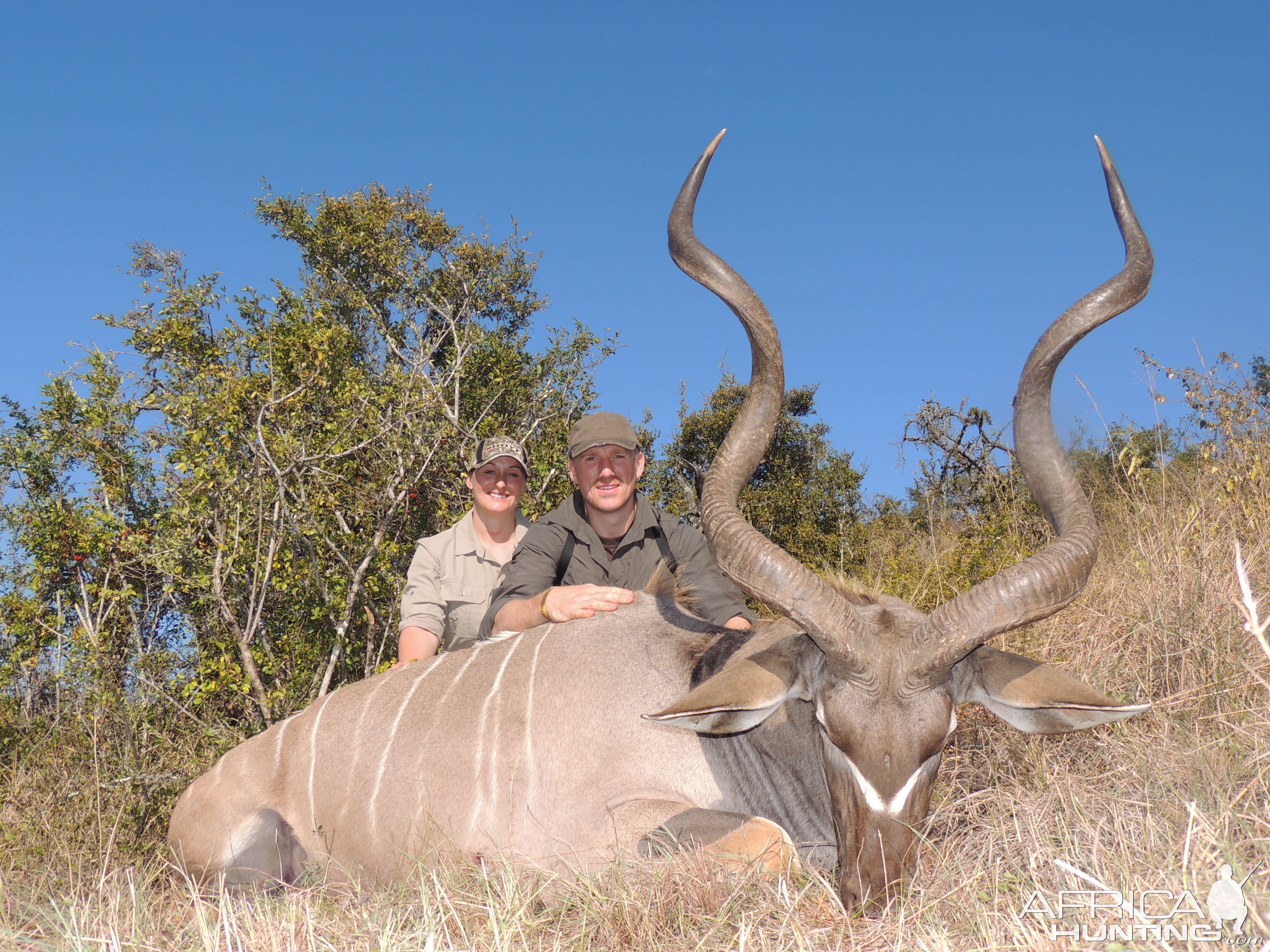 54 1/2 cape kudu