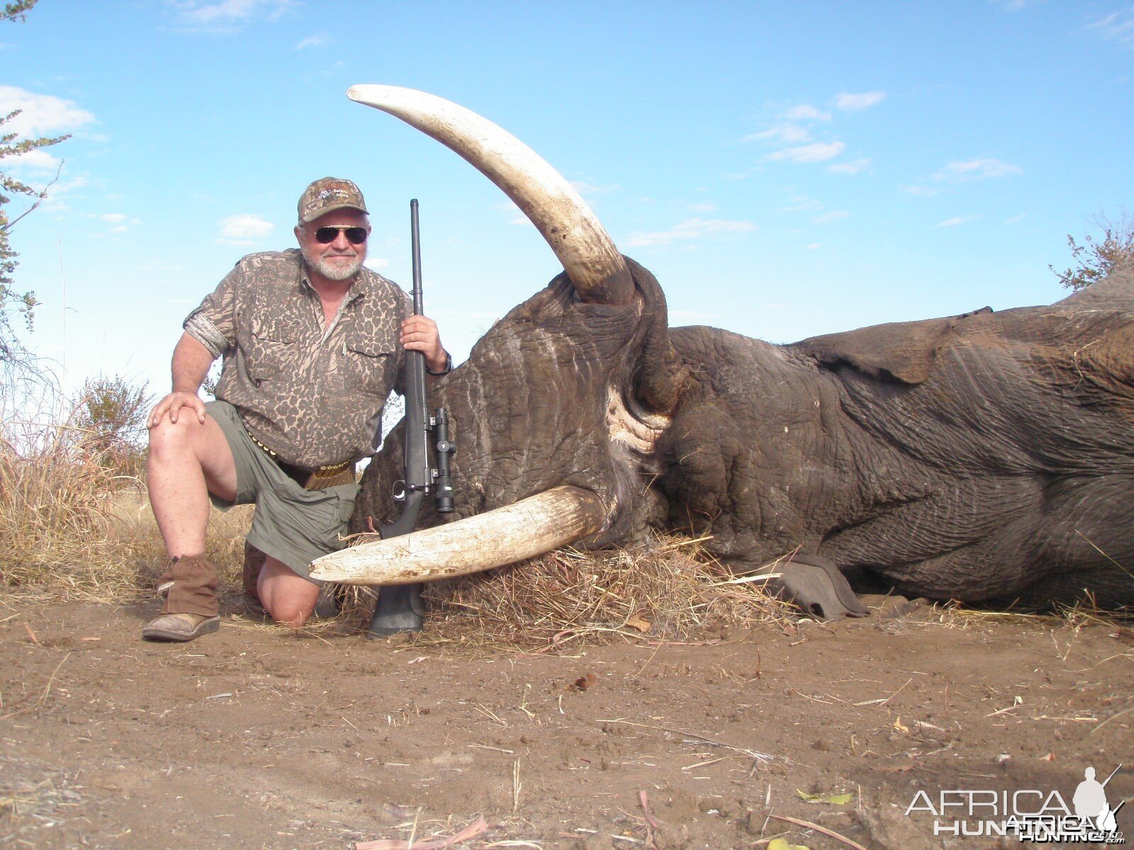 57 Lb. Botswana Elephant 2013