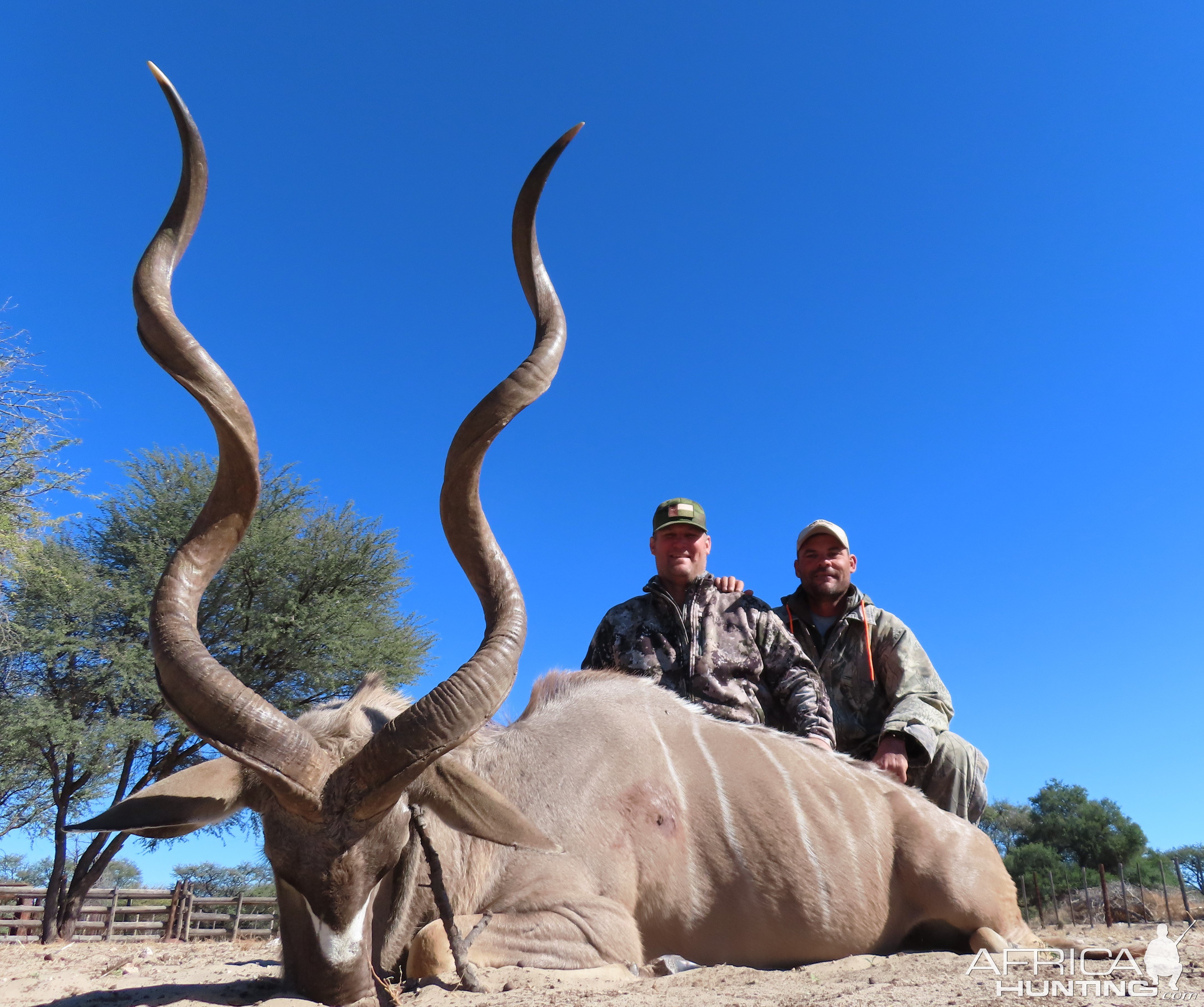 60.5 Inch Kudu Hunt Botswana