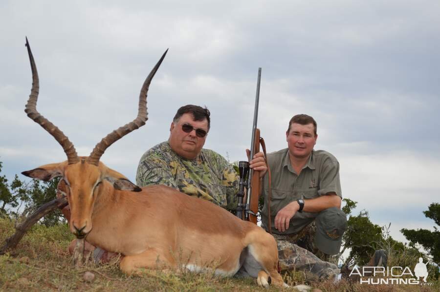 61 5/8" Inch Impala Hunting in South Africa