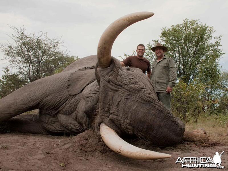 86 pound tusker hunted with Johan Calitz Safaris in Botswana - PH Garth Rob