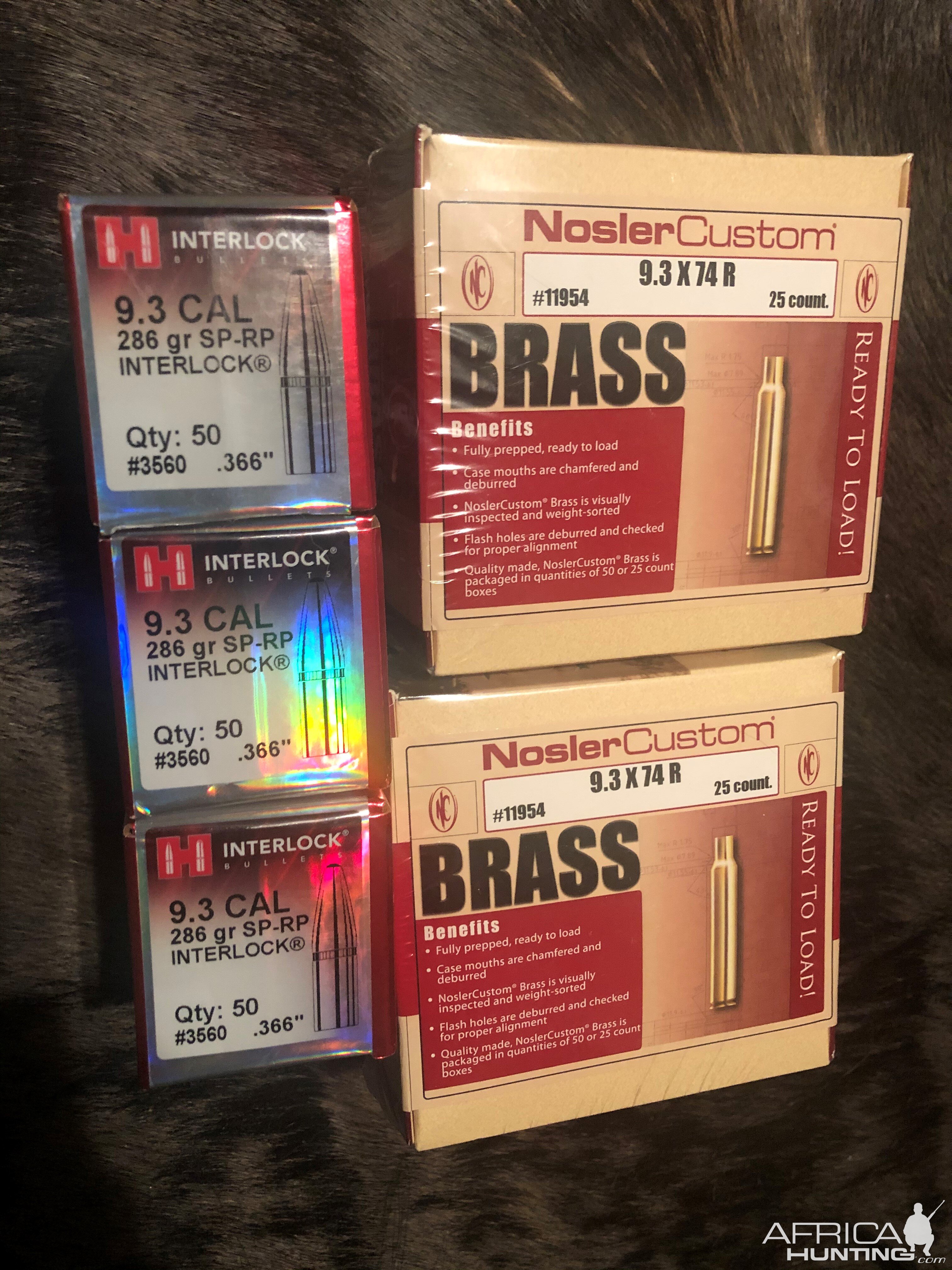 9.3x74 Brass & Bullets Ammunition