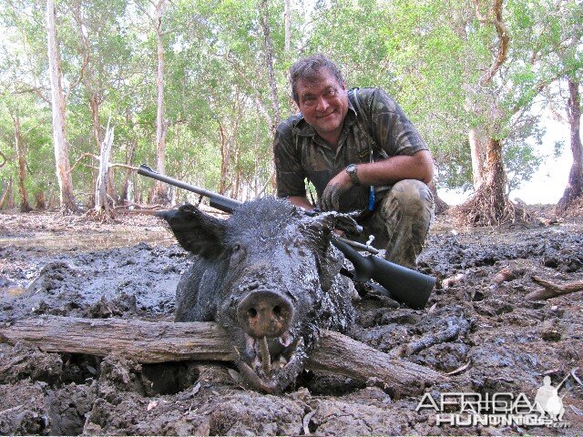 A 105kg Wild Boar from outback Australia died wallowing in his mud bath
