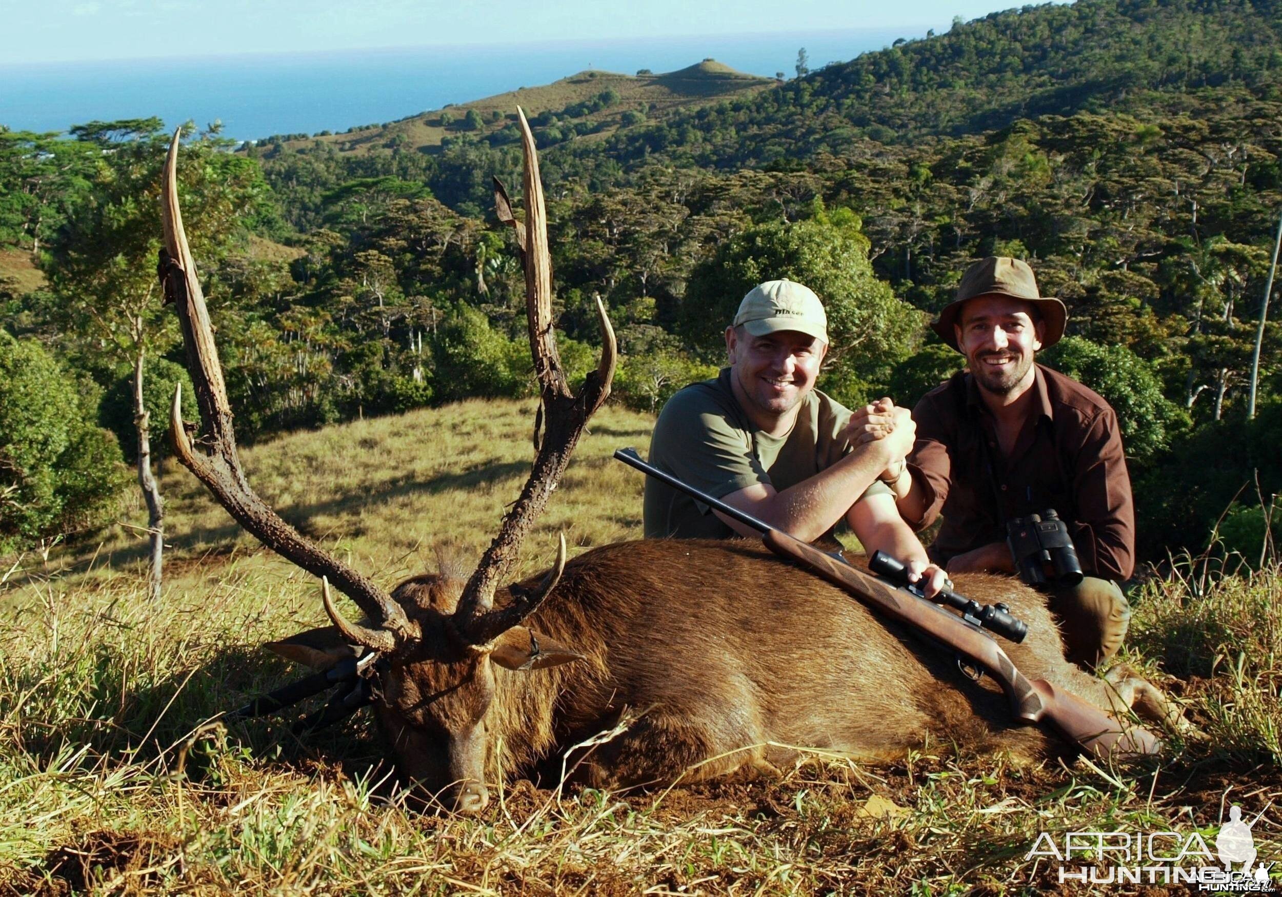 A 37 inches rusa deer hunted with "le chasseur mauricien ltd" in