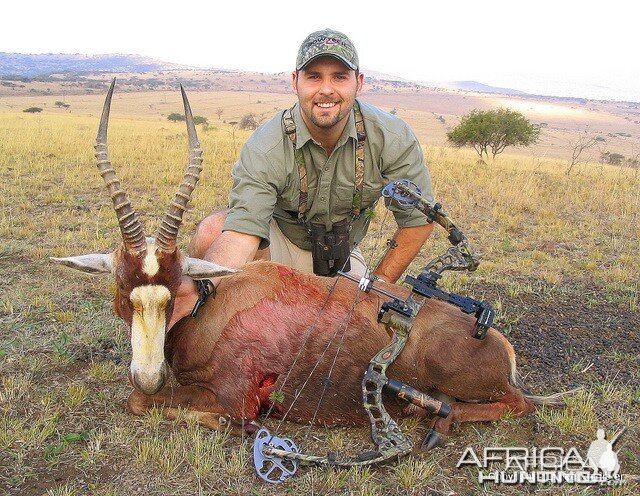 A beautiful tall Blesbuck ram taken near Hlomohlomo in Zululand