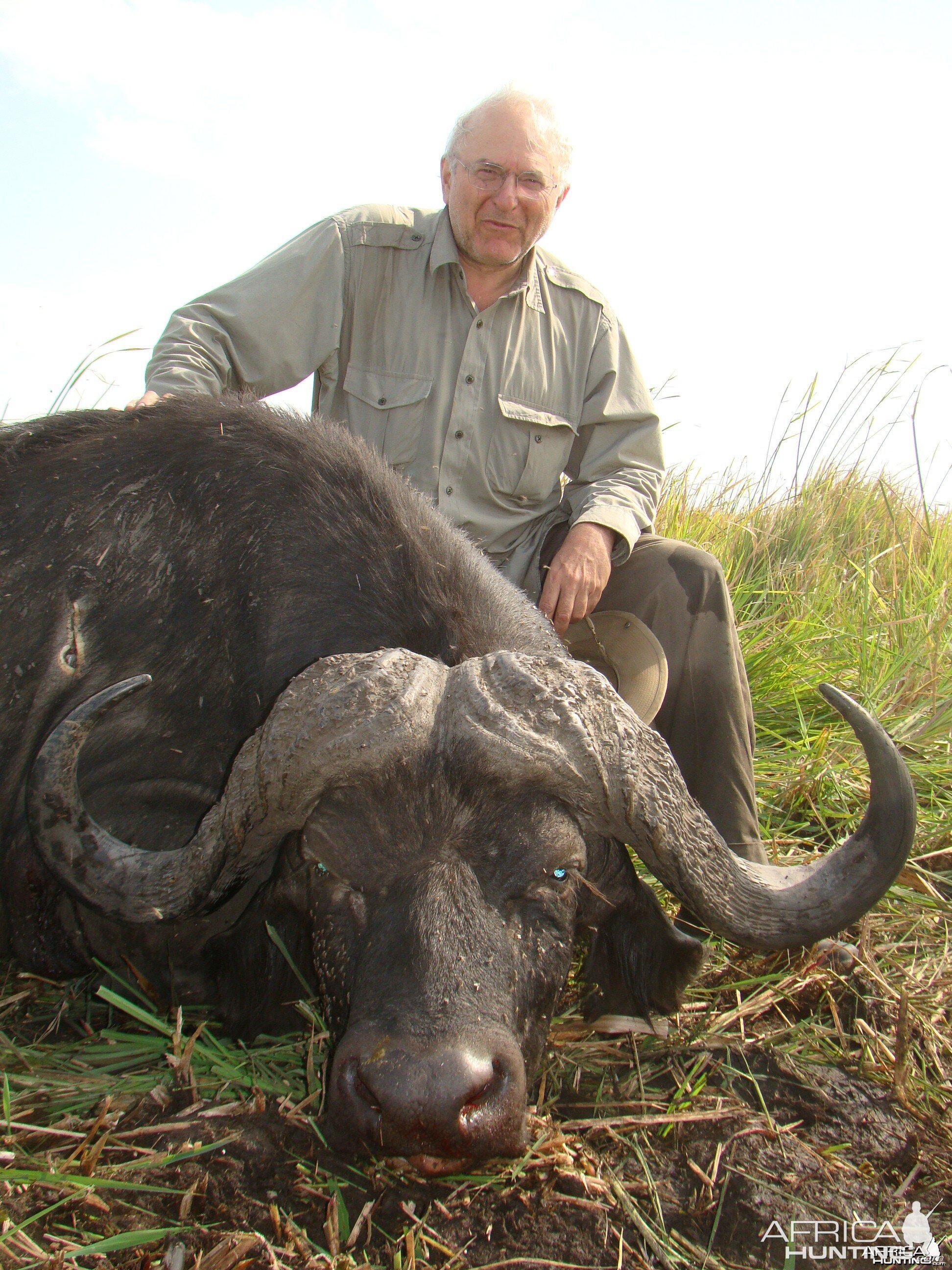 A classic buffalo bull of 42 inches.