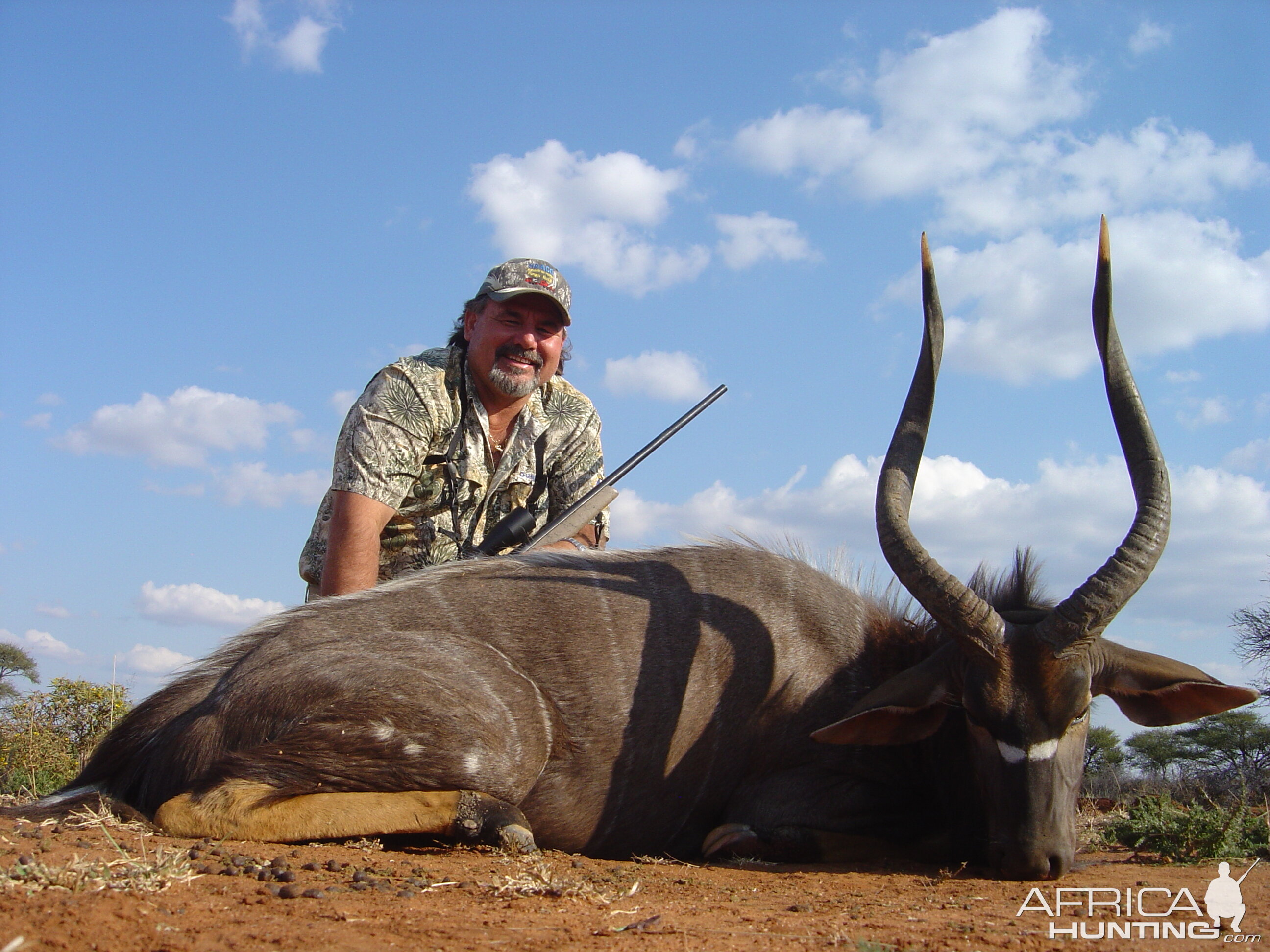 A good Nyala Bull from 2008