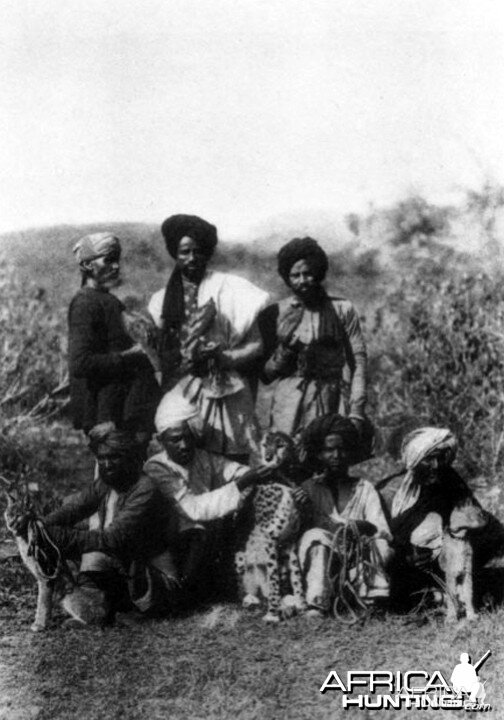 A Hunting Party of Hawks, Two Caracals and a Cheetah, 1920