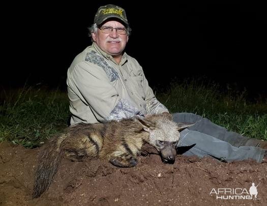 Aardwolf Hunting Sunset Safaris
