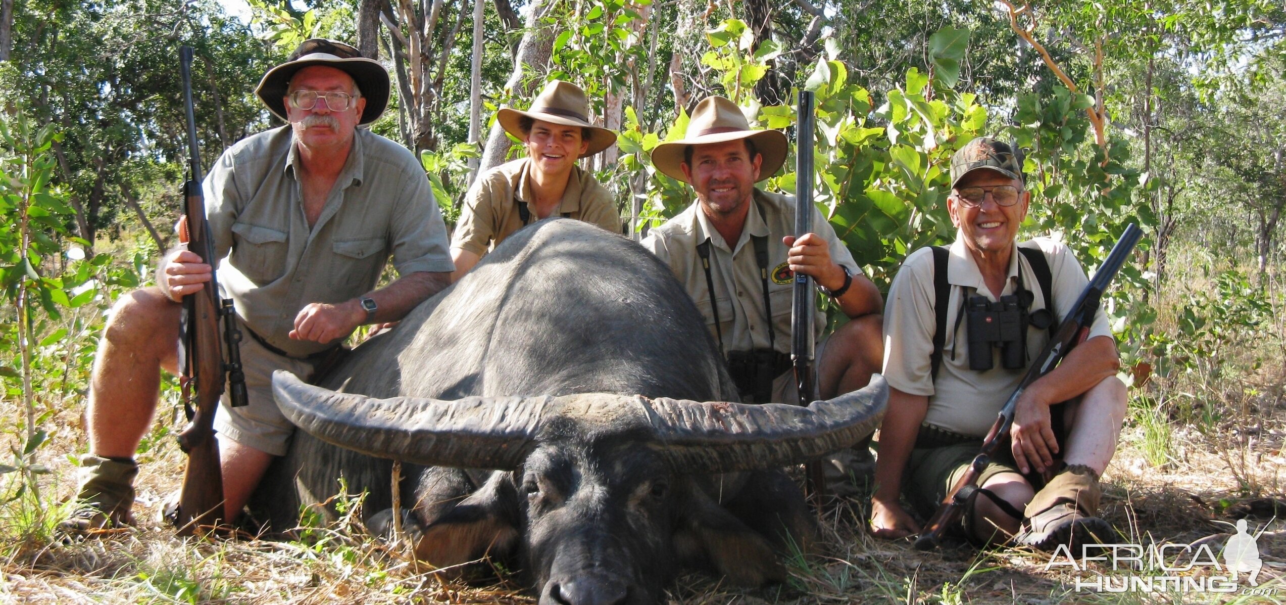 Aciatic Water Buffalo Australia Hunt