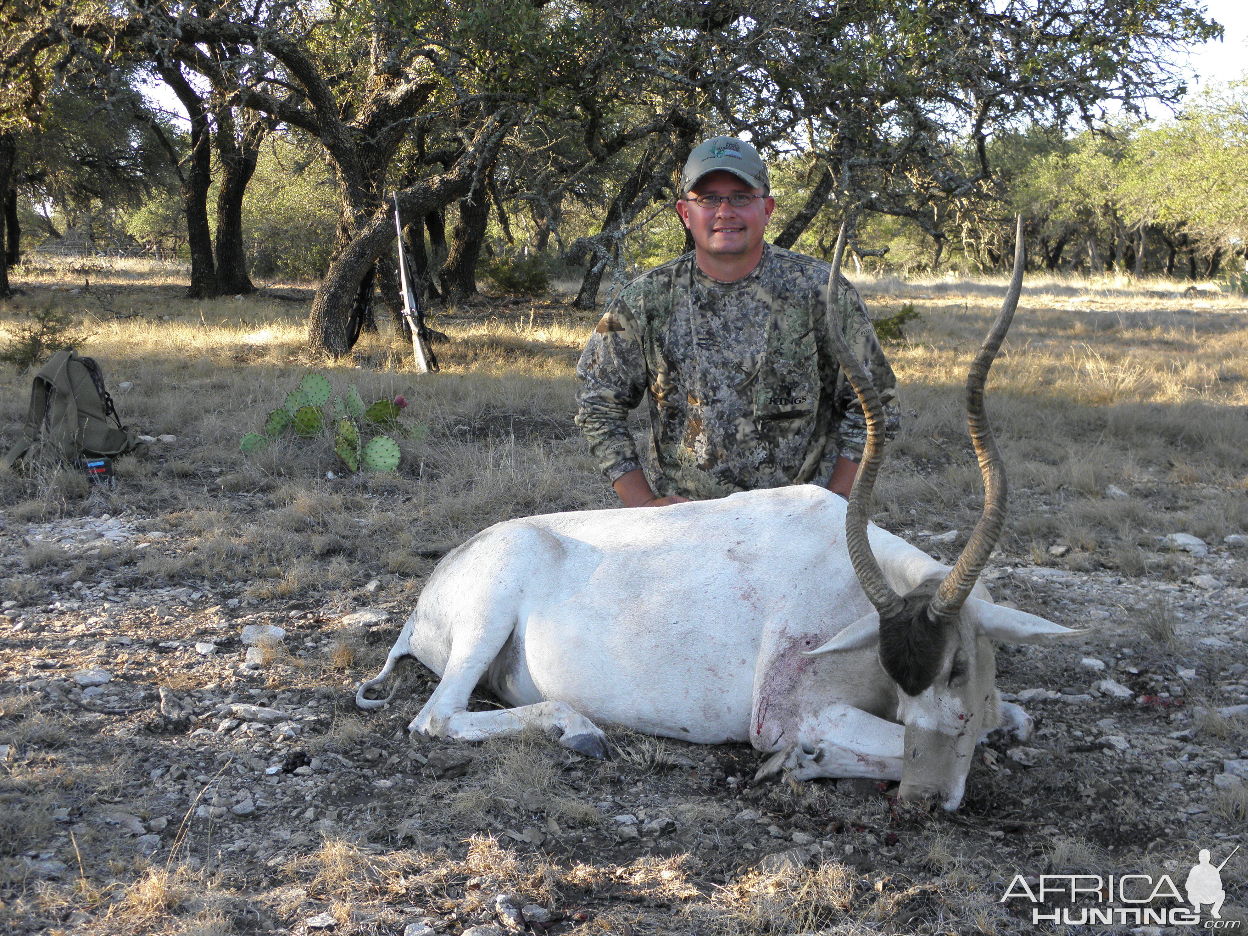 Addax 2011