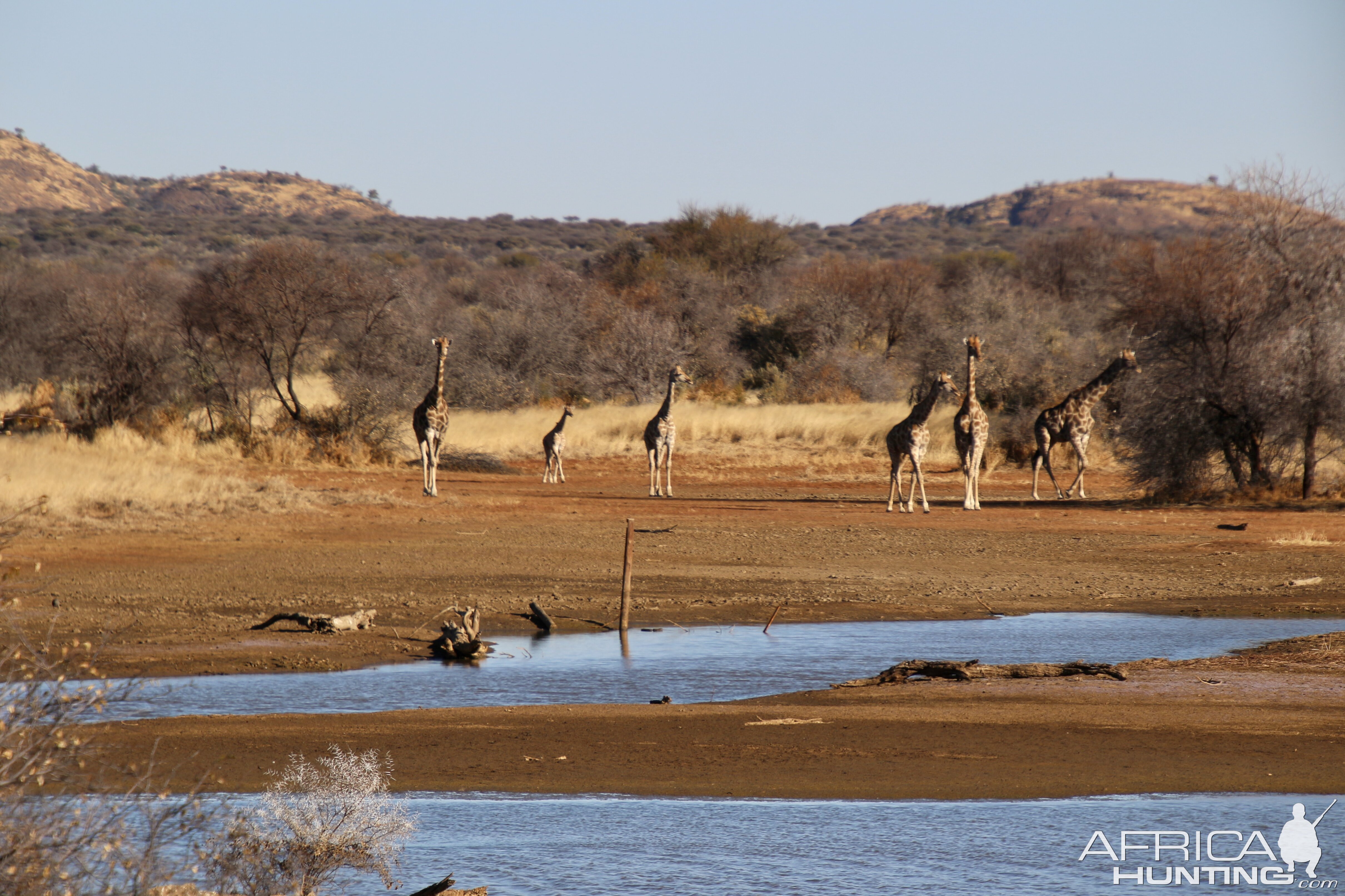 Africa living