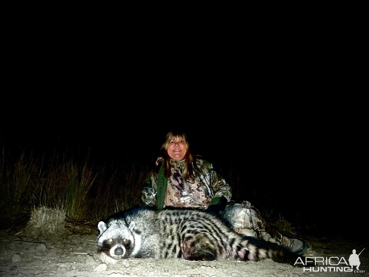 African Civet Hunt South Africa