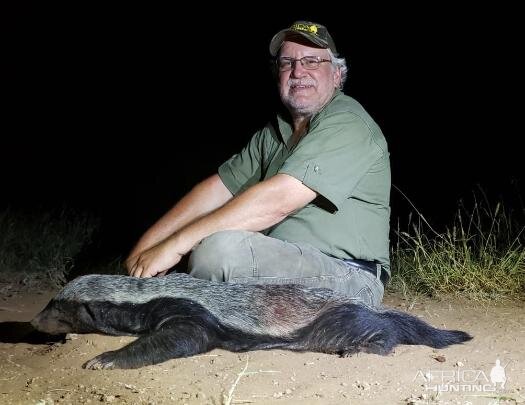 African Honey Badger Hunting Sunset Safaris