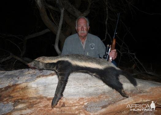 African Honey Badger Hunting Sunset Safaris