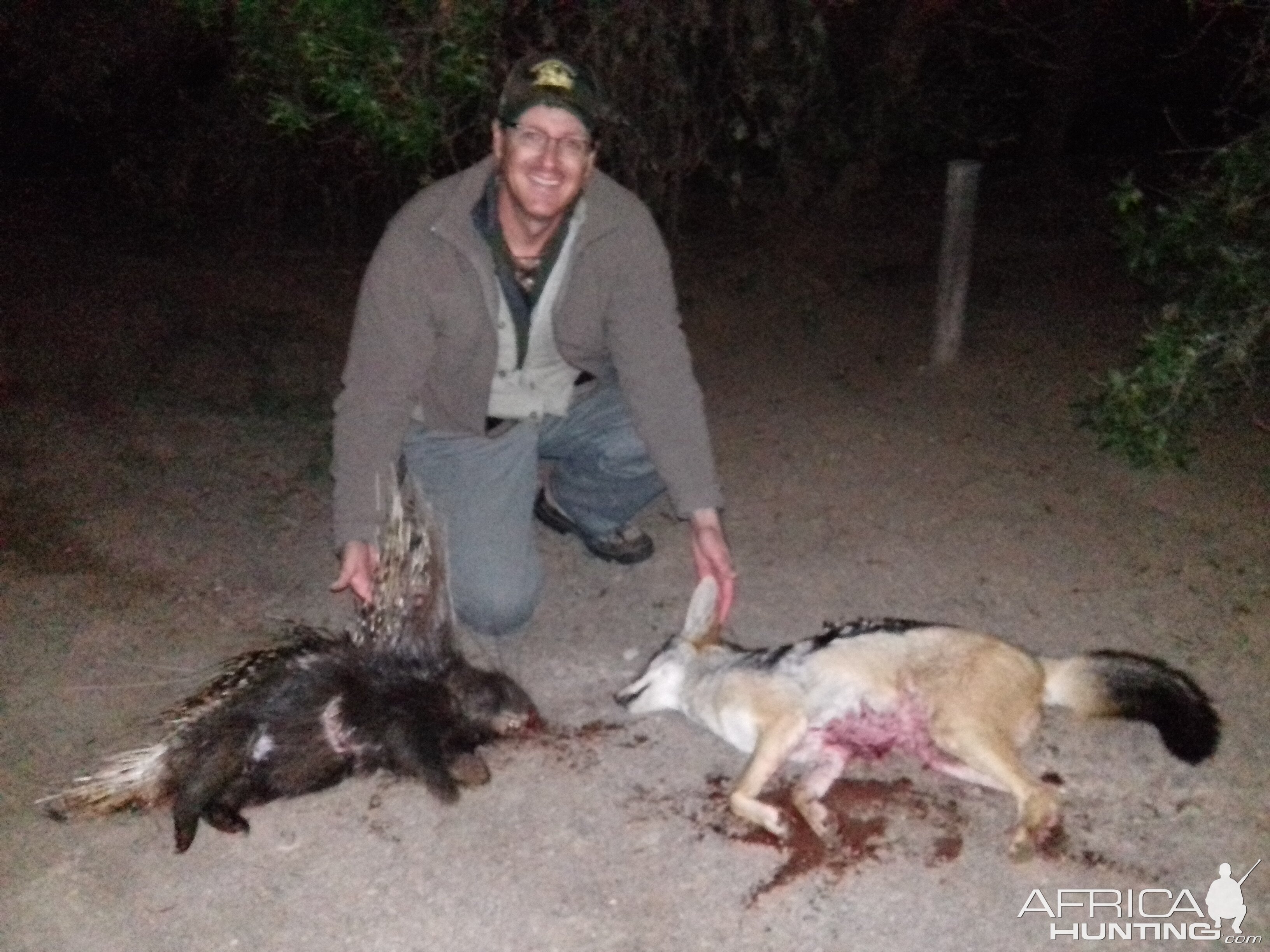 African Porcupine & Jackal Hunt South Africa