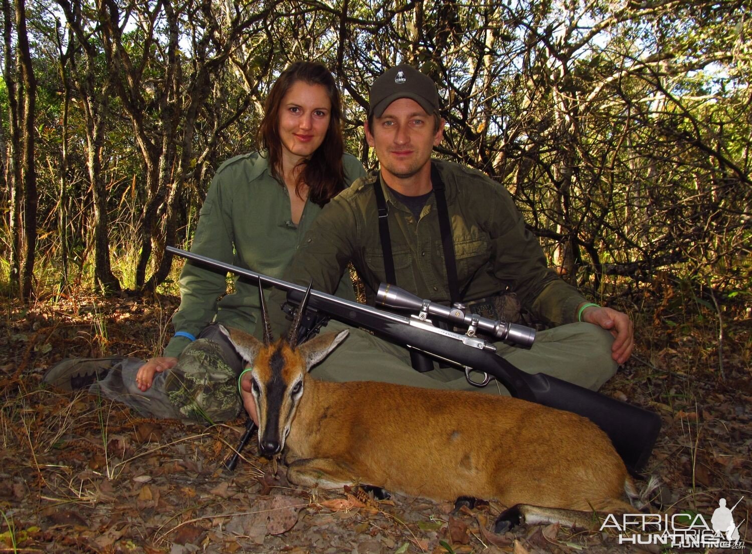 Agolan Bush Duiker