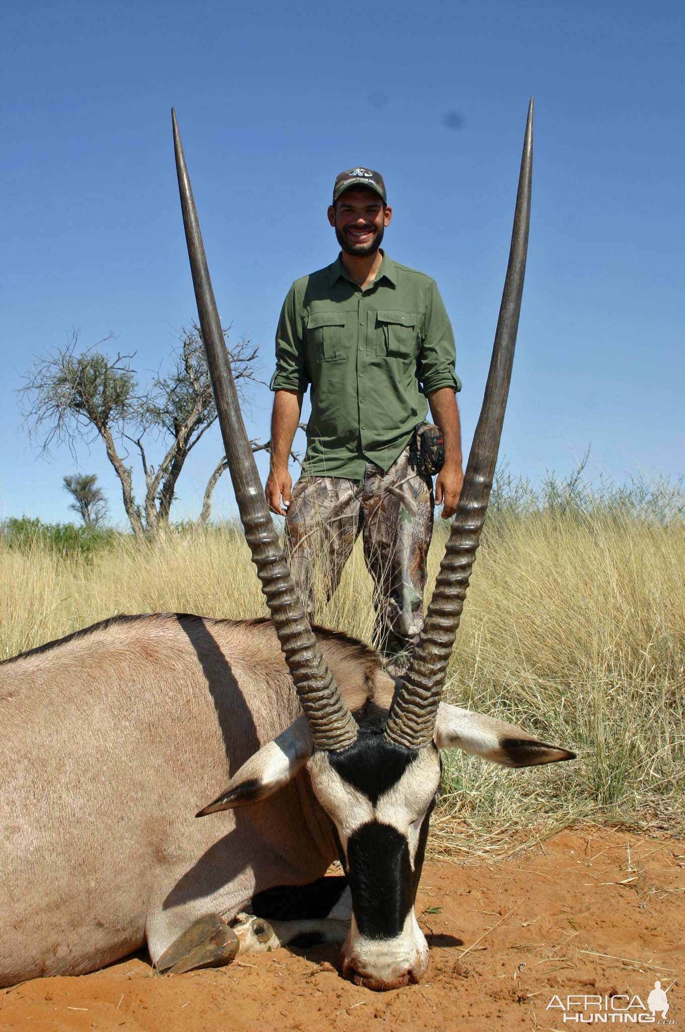 AH member with 41+ Gemsbok Bull