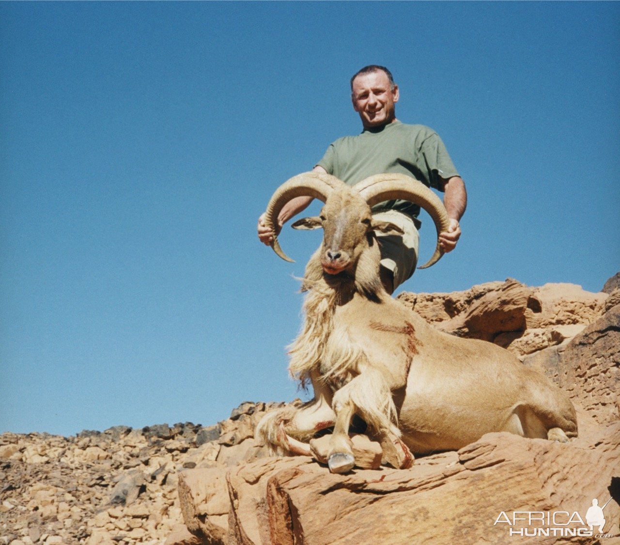 Alain Lefol Hunting Aoudad